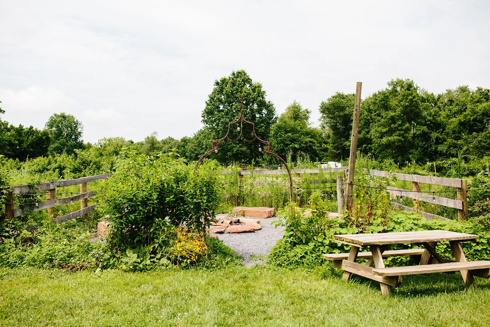 A lush vegetable garden with a wooden picnic table in the foreground, surrounded by green plants, bushes, and trees under a partly cloudy sky.