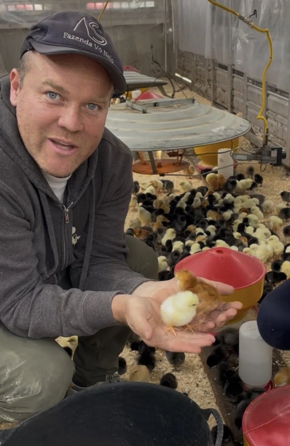 A man in a cap and hoodie holding a small yellow chick in a barn at Maryland farm.