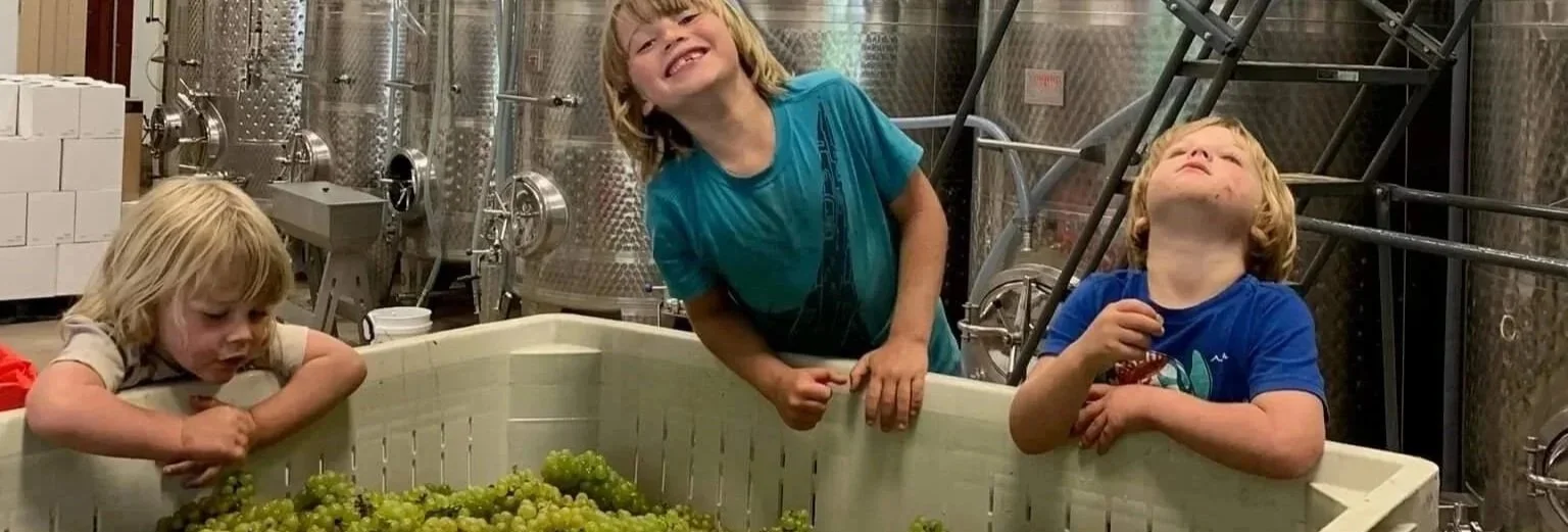 Three young children inside Rocklands Farm Winery.
