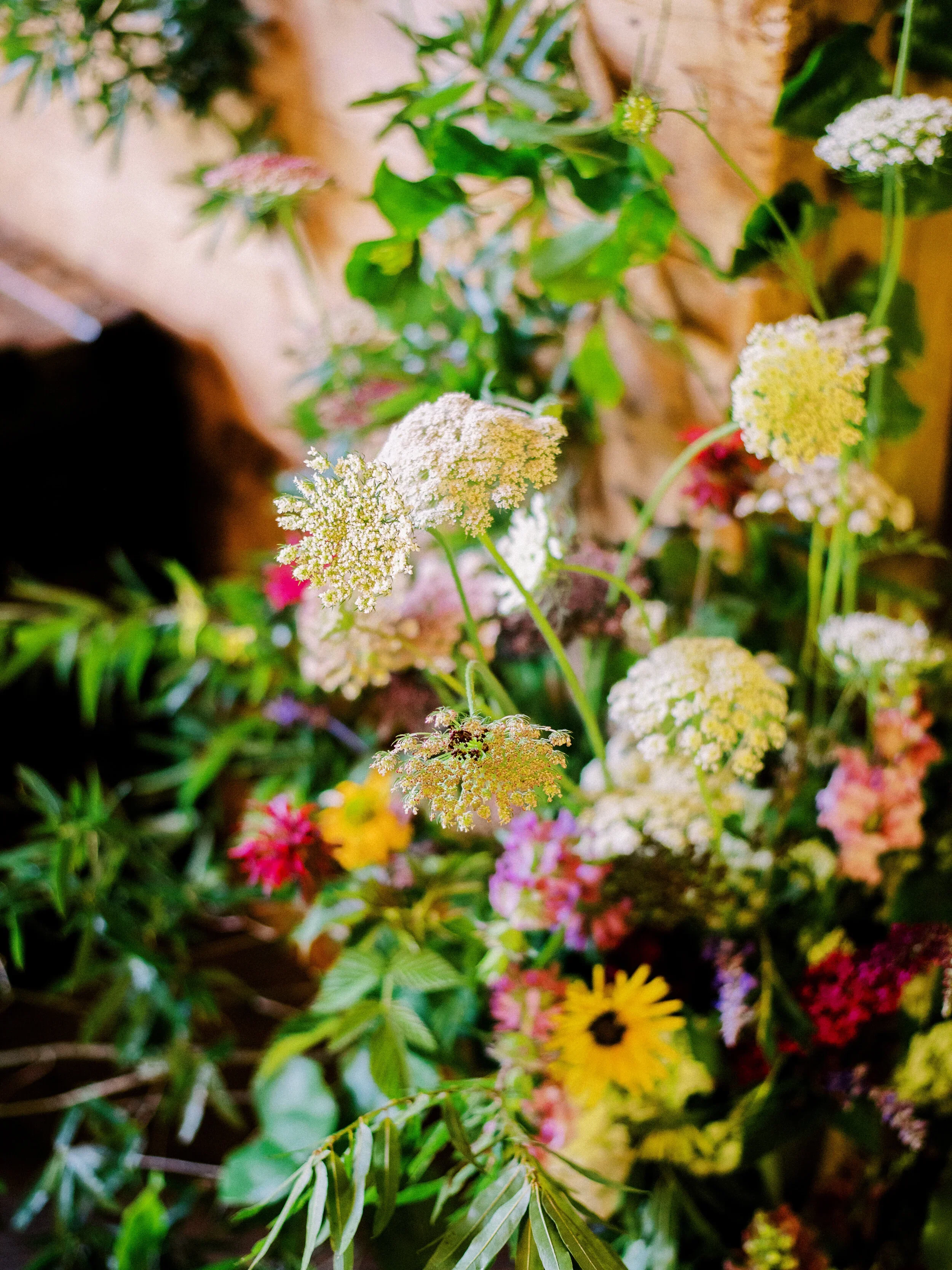 Close-up of various colorful flowers and green leaves in a garden.