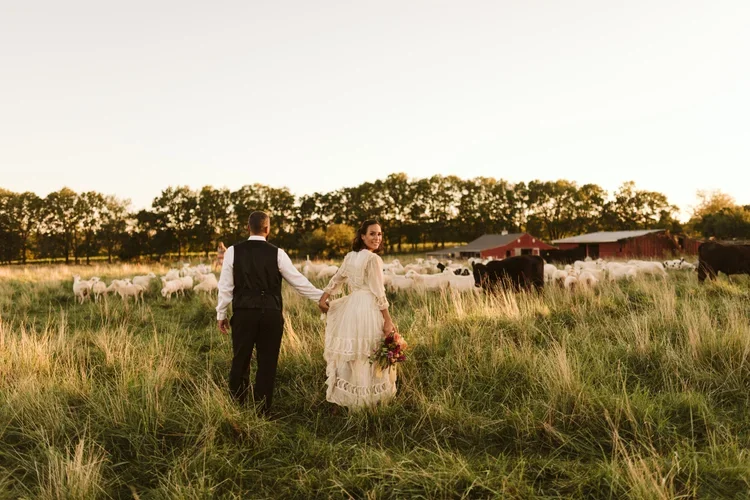 A couple holding hands in a pasture with sheep and barns at sunset, woman holding a bouquet.