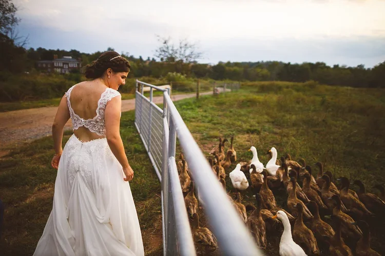 A woman in a white wedding dress walks along a farm fence past a group of ducks and geese in a rural landscape