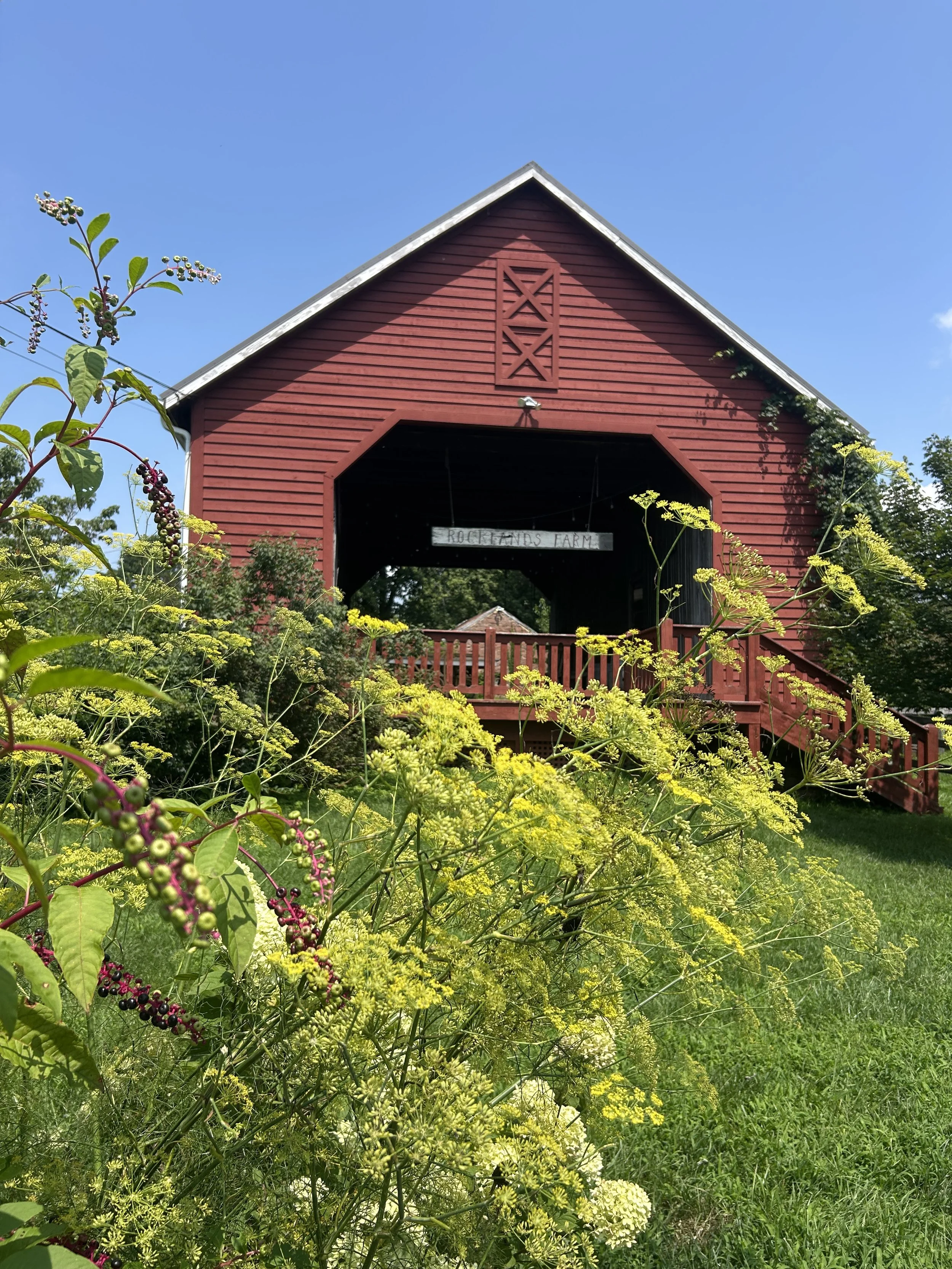 A red barn with a wooden sign reading 'Rocklands Farm' is seen through lush green plants