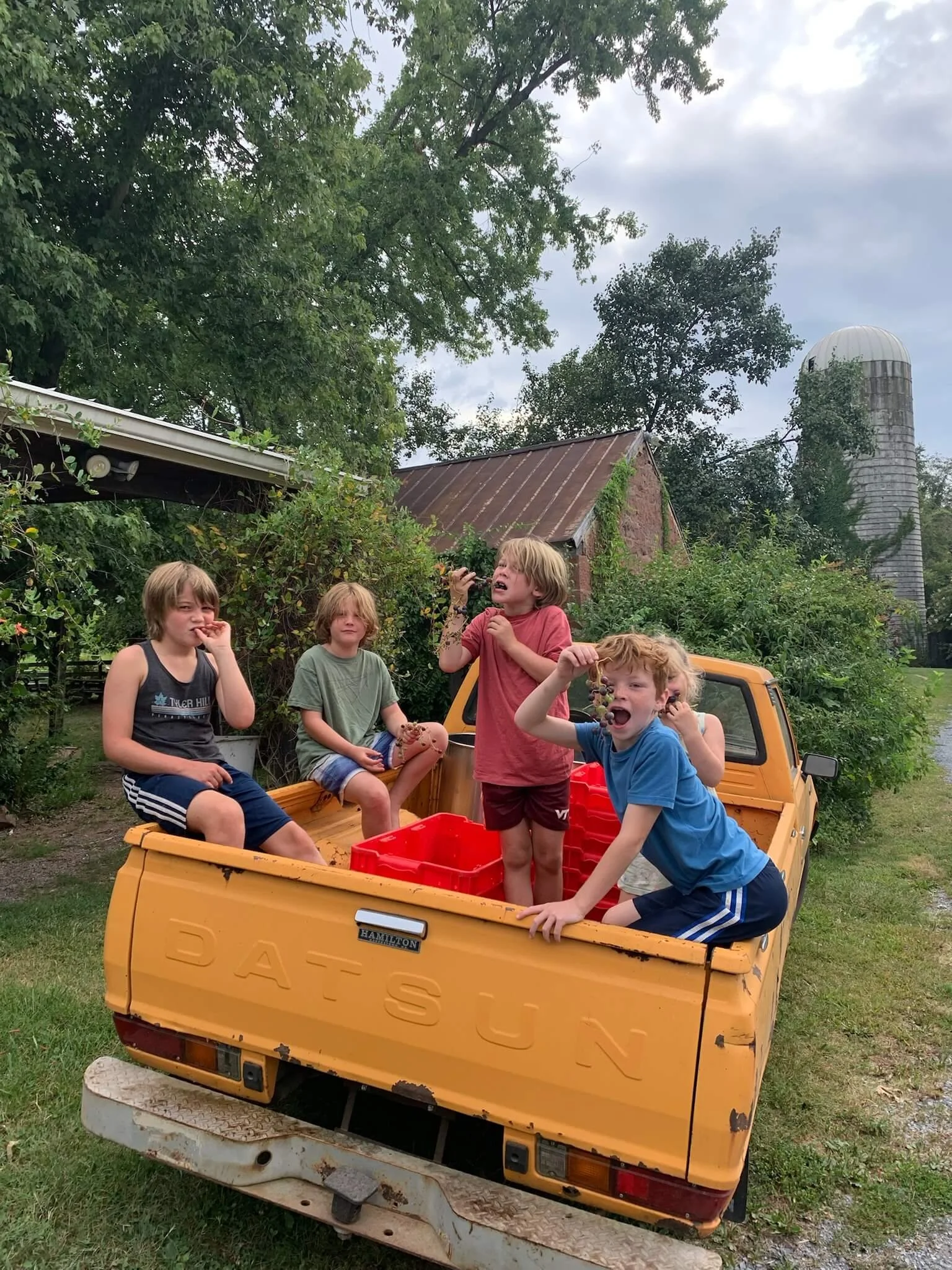 Five children sitting and standing in the back of a yellow pickup truck surrounded by greenery and trees, with a barn and a silos in the background, and overcast sky.