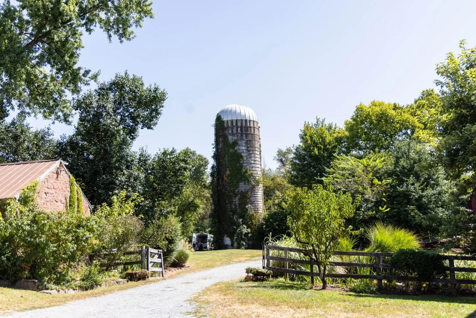 A rural scene with a gravel pathway leading to an old silo surrounded by trees and greenery.