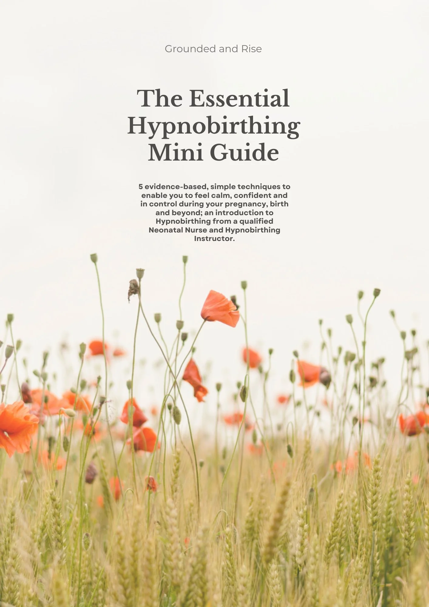 The Essential Hypnobirthing Mini Guide