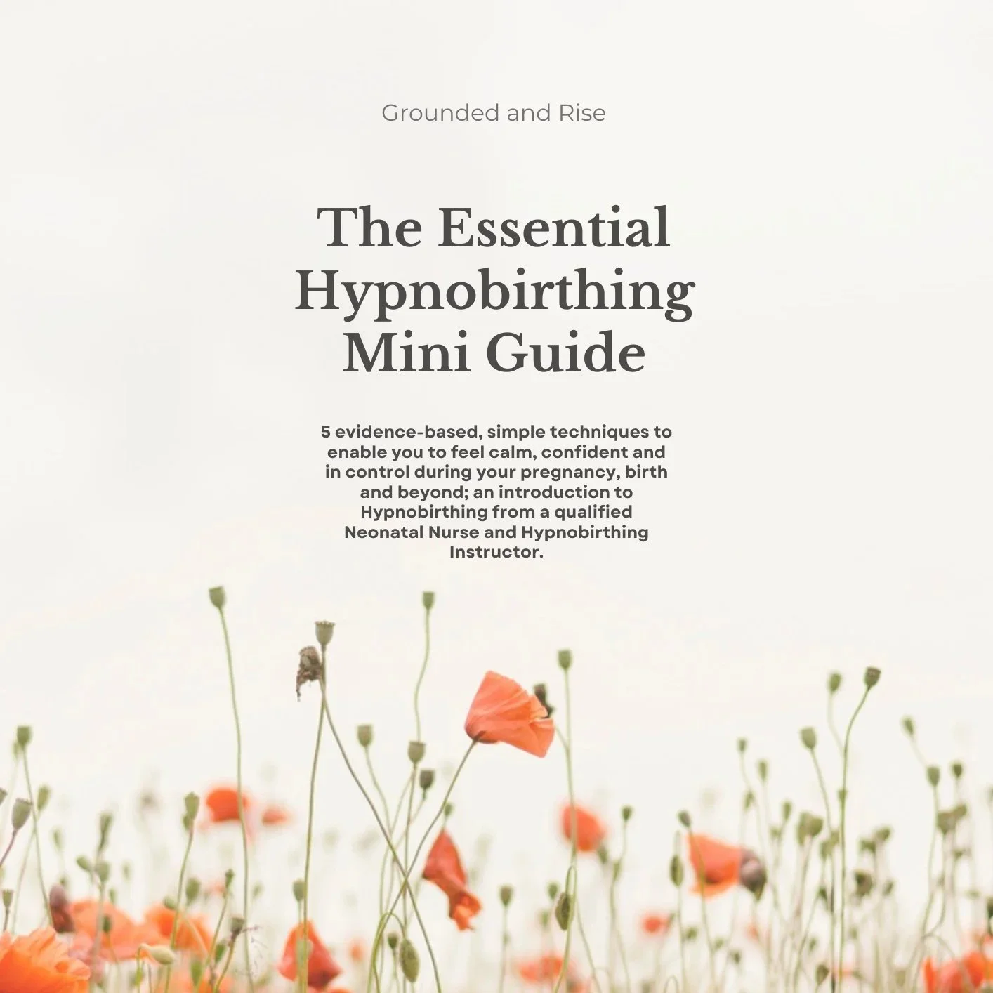 Mini+guide+JPG.jpg