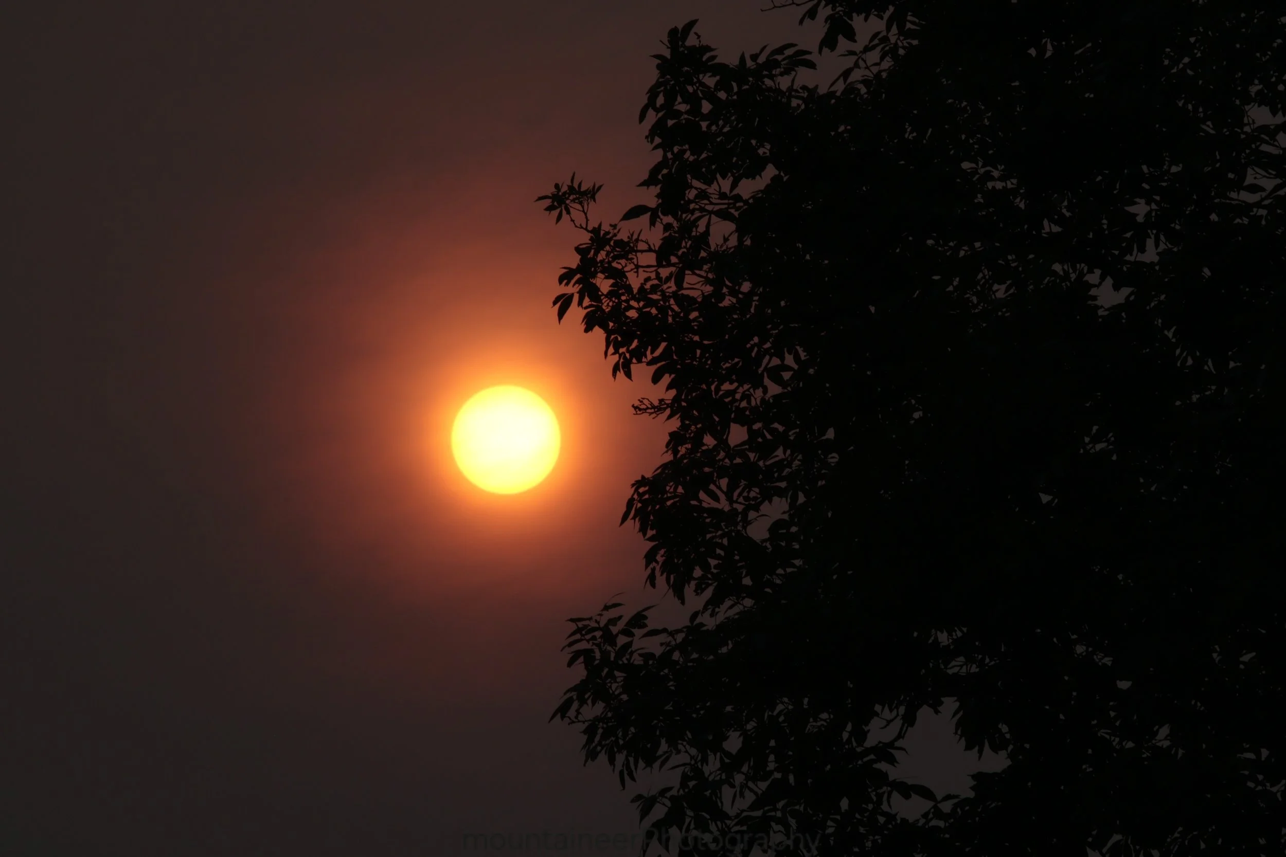 Hazy Sunrise