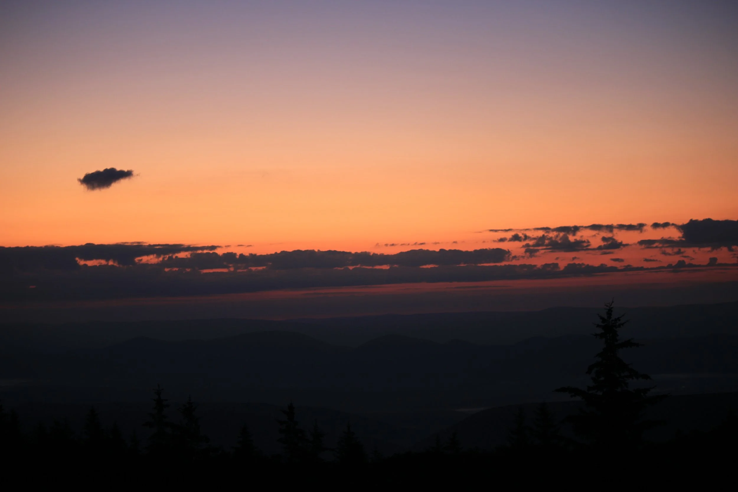 Early Sunrise