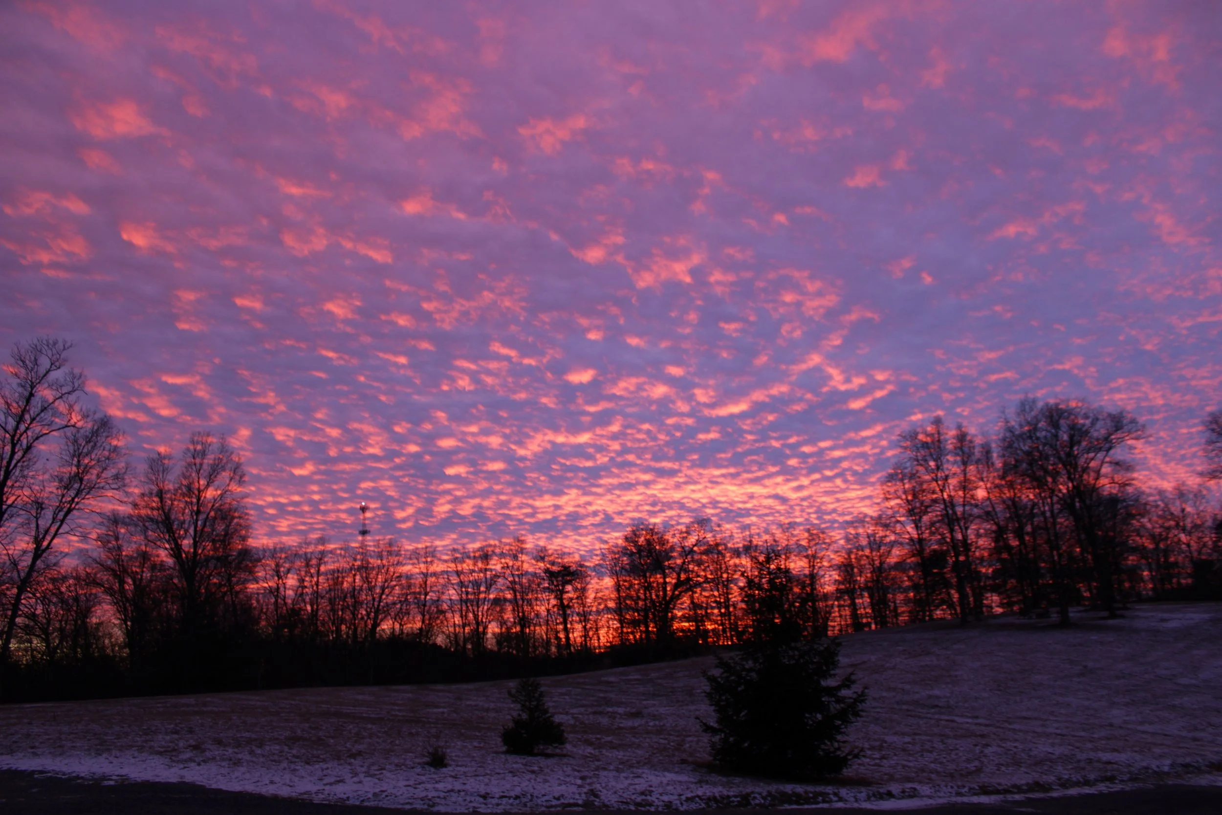 A colorful sunset sky with pink and purple clouds, silhouetted trees, and a snowy field in the foreground.
