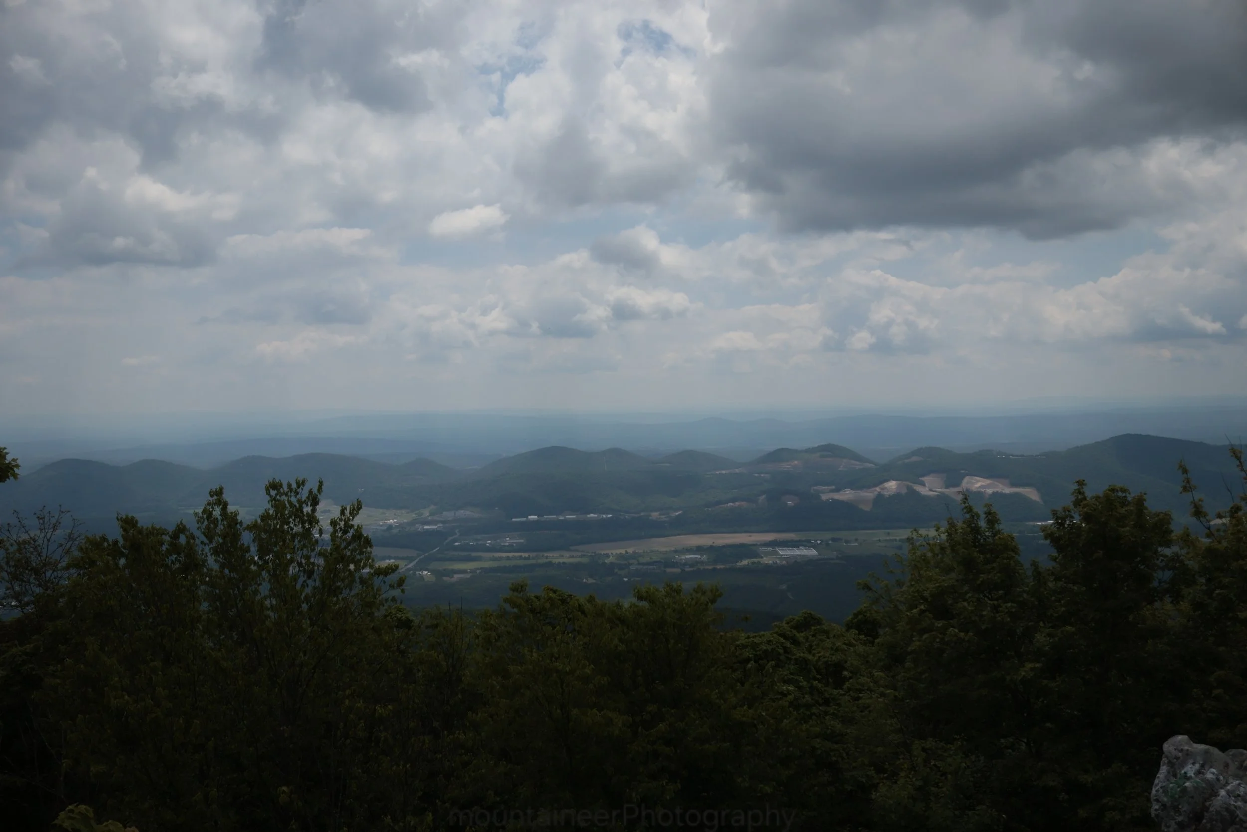 What a View!