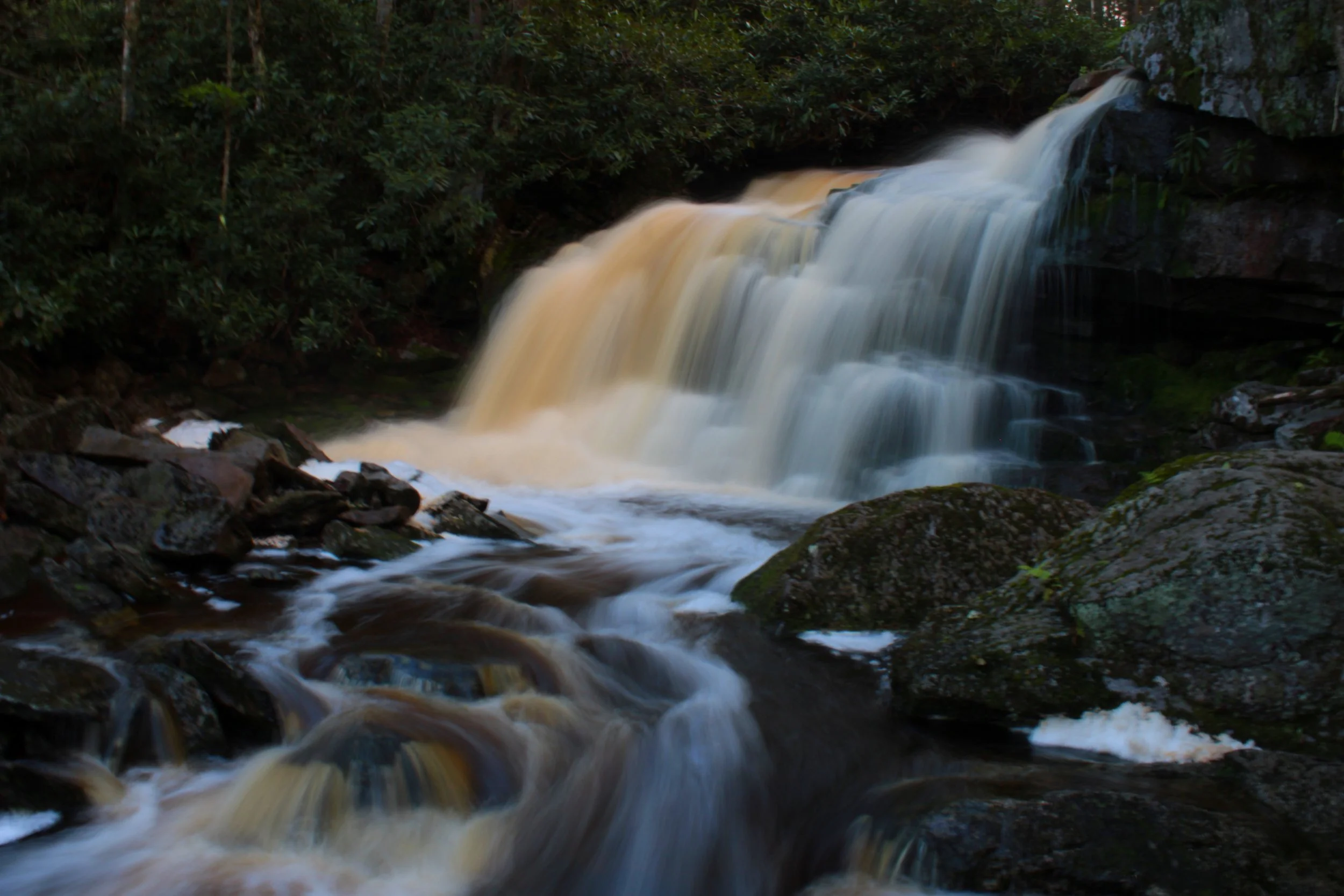 A small waterfall with flowing, reddish brown water over rocks in a forested area with lush greenery.