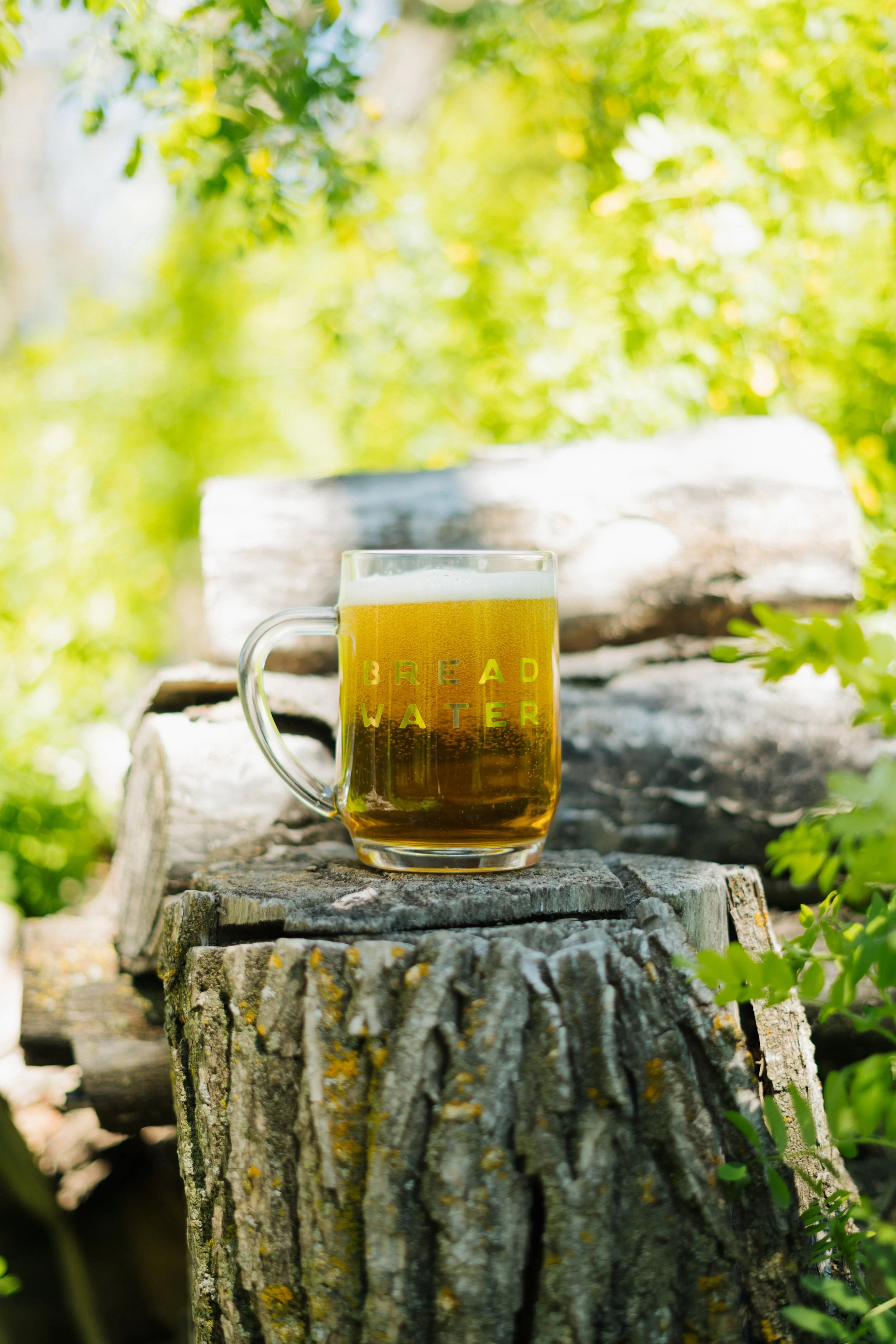 A glass mug of Bread Water beer with foam on top, placed on a piece of wood outdoors surrounded by greenery.