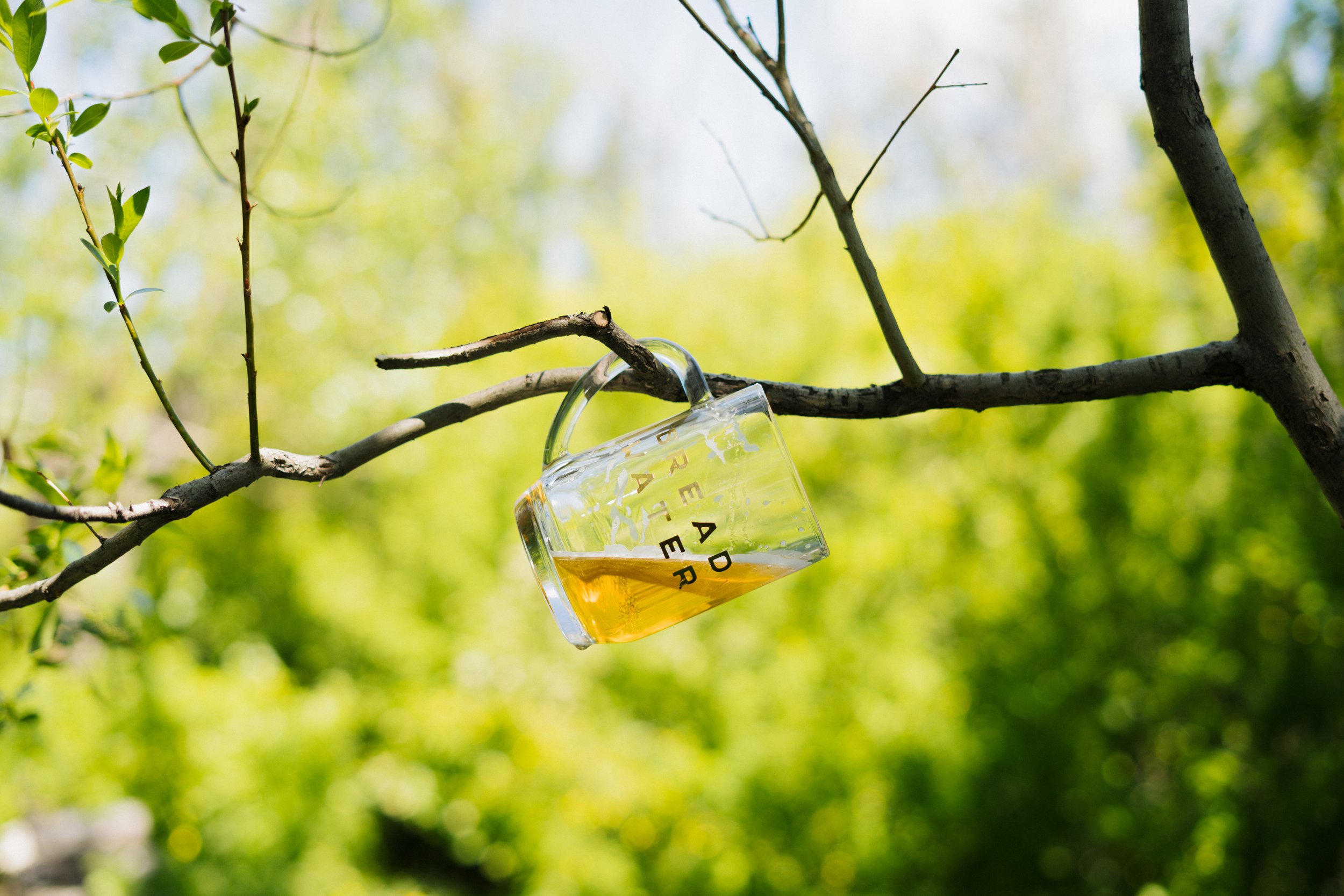 A glass of Bread Water beer hanging from a tree branch by a string in a forest setting with green leaves and blurred background.