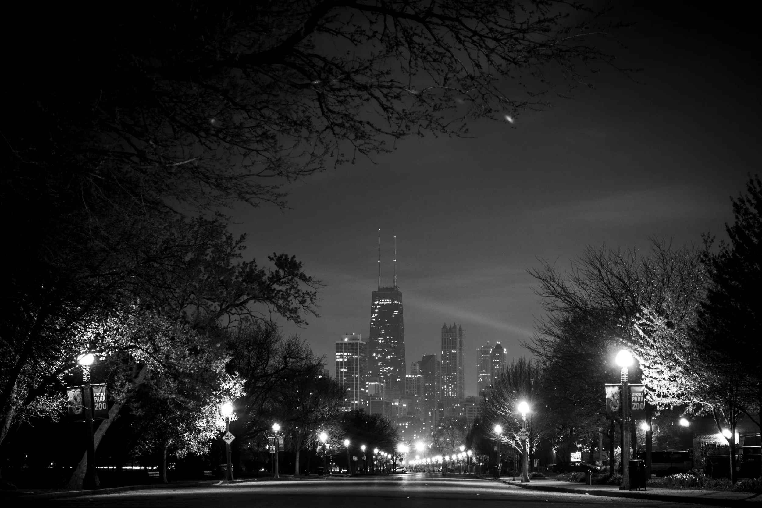 DSC_0350.jpg