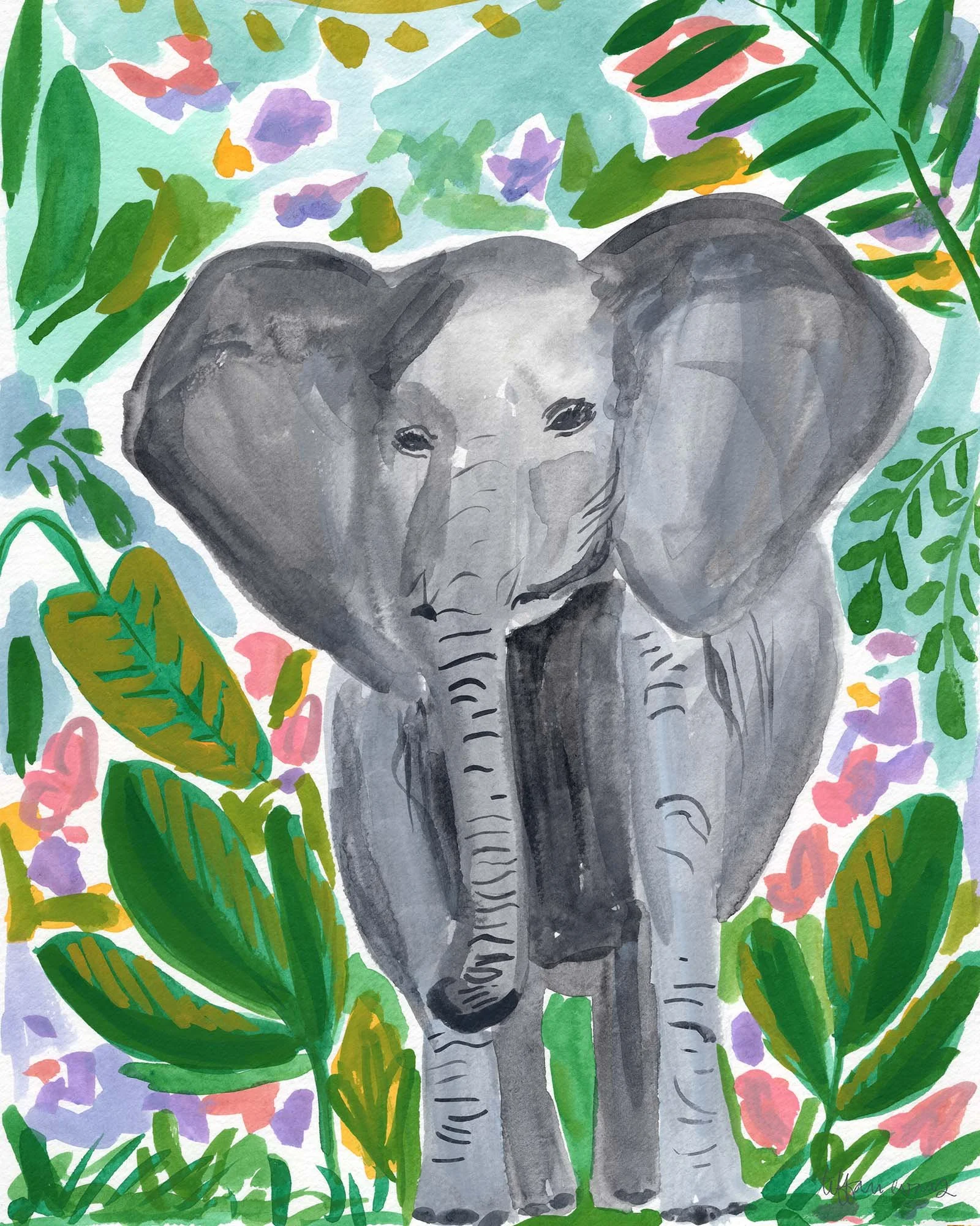 Elephant.jpg
