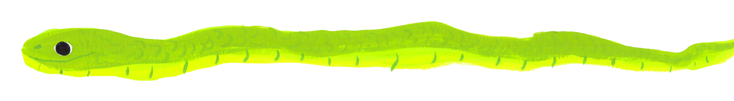 green snake.png