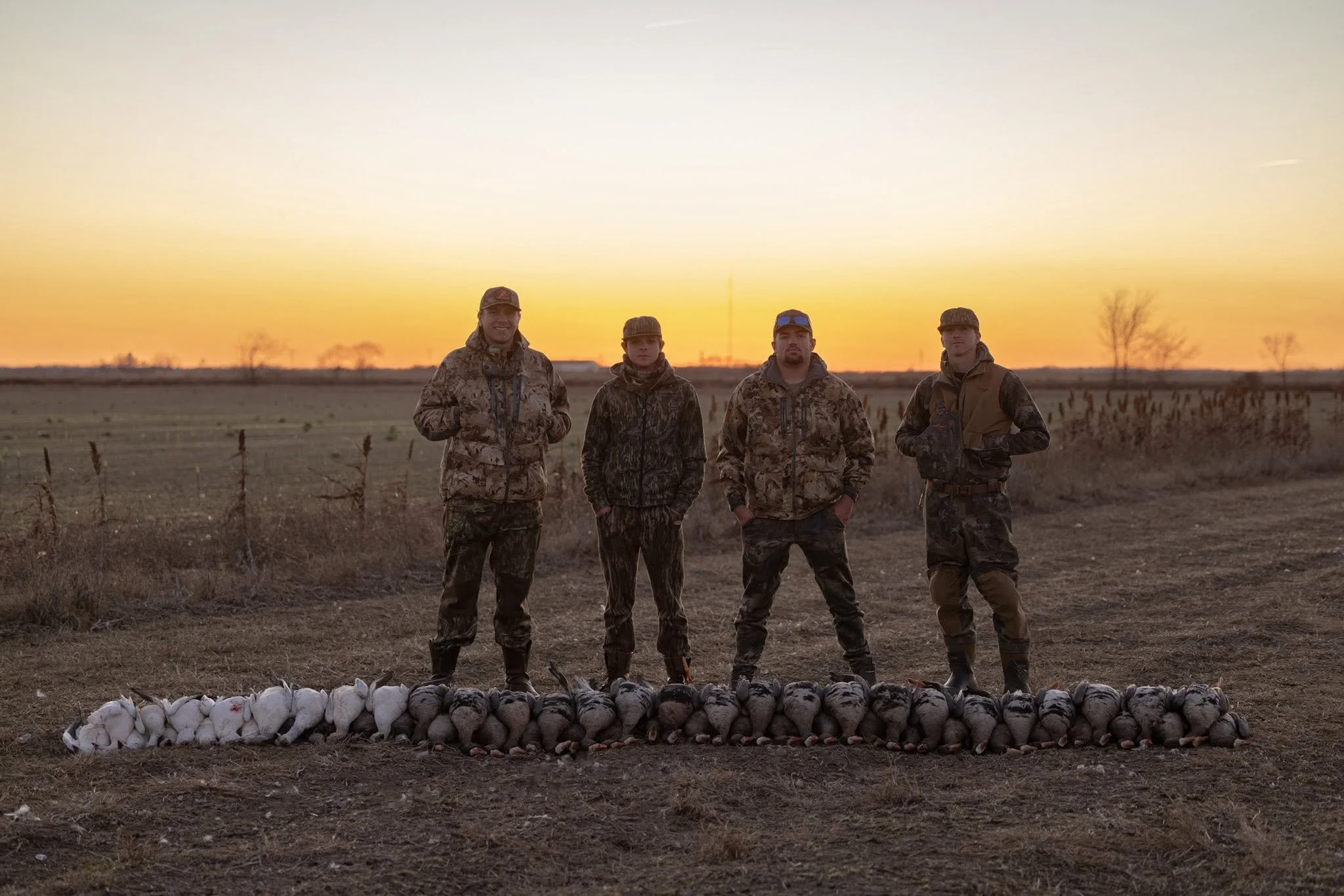 Four men in camouflage standing in a field at sunset, with a line of geese laid out in front of them.
