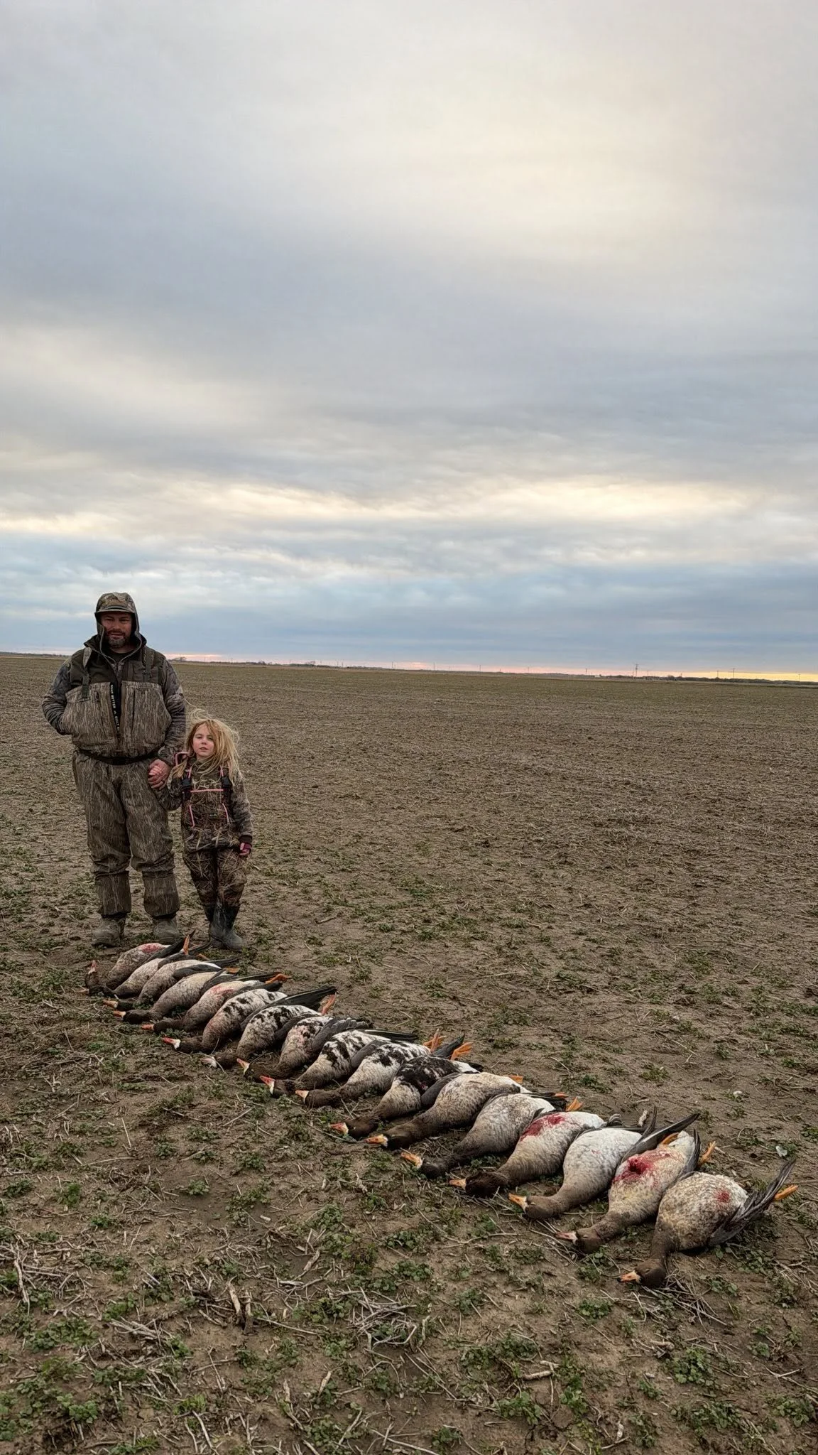 A man and a young girl standing in a field with geese lined up in front of them, the sky overcast and the horizon in the distance.