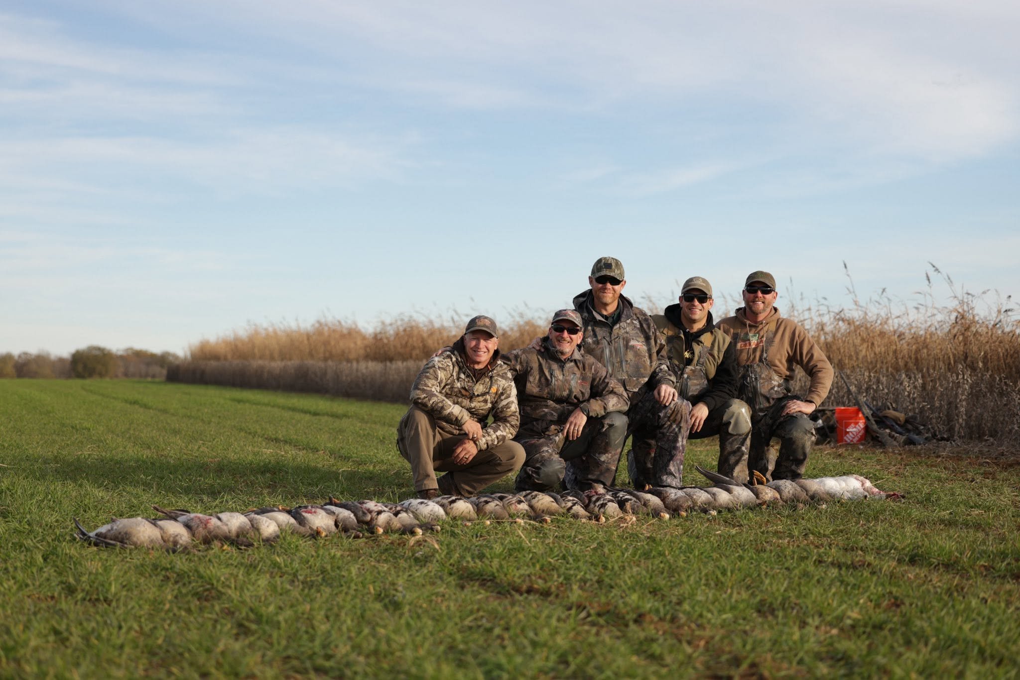 Group of five hunters in camo and outdoor clothing kneeling and sitting behind a row of freshly hunted geese laid out on the grass, with more on the ground in front. They are outdoors on a clear day with tall grass and trees in the background.