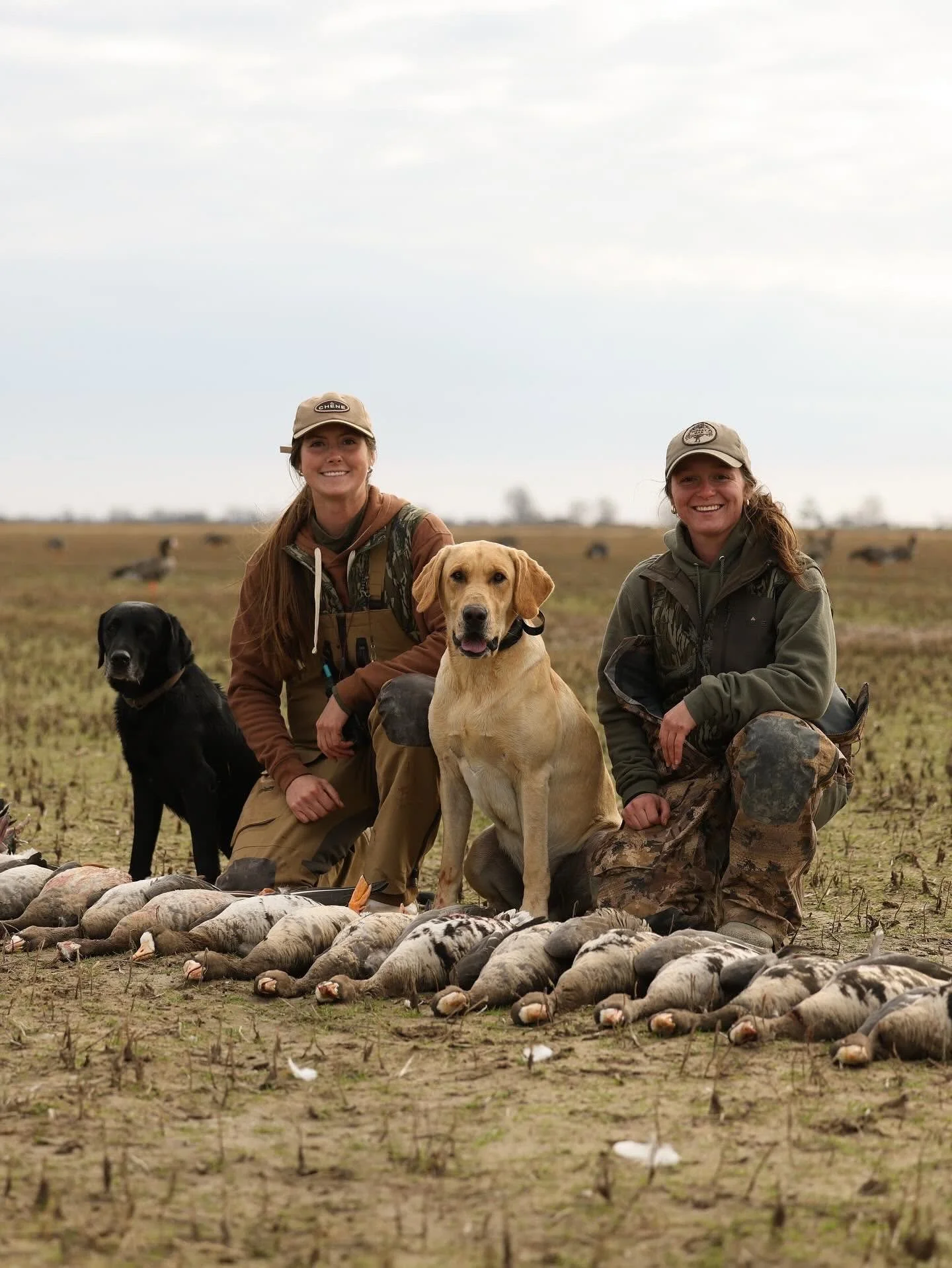 Women and dogs kneeling in front of a line of geese on open land with a cloudy sky.