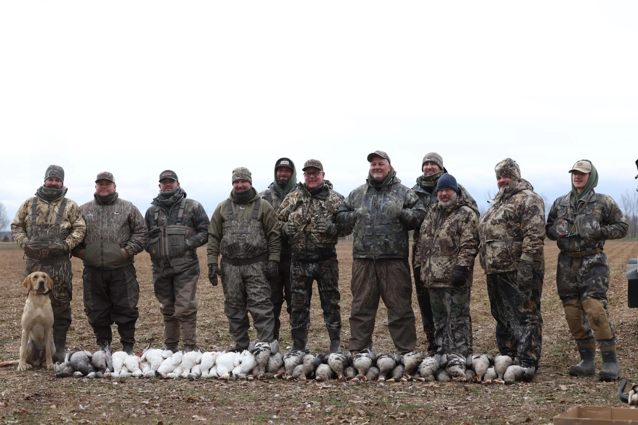 A group of people dressed in camouflage clothing, standing outdoors in a field, with a line of geese in front of them and a dog sitting nearby.