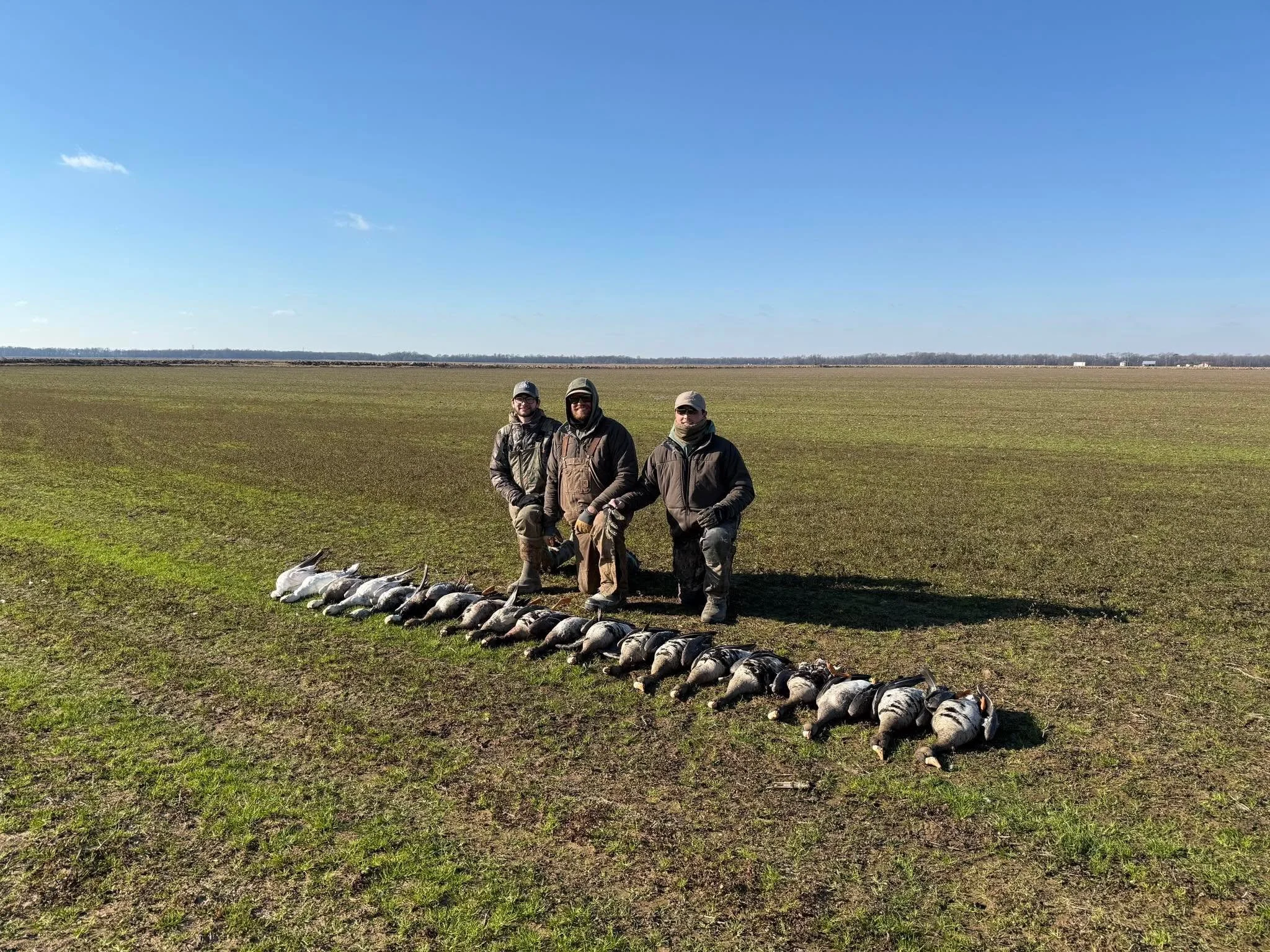 Three people standing outdoors in a field with a line of geese laid on the ground in front of them, under a clear blue sky.