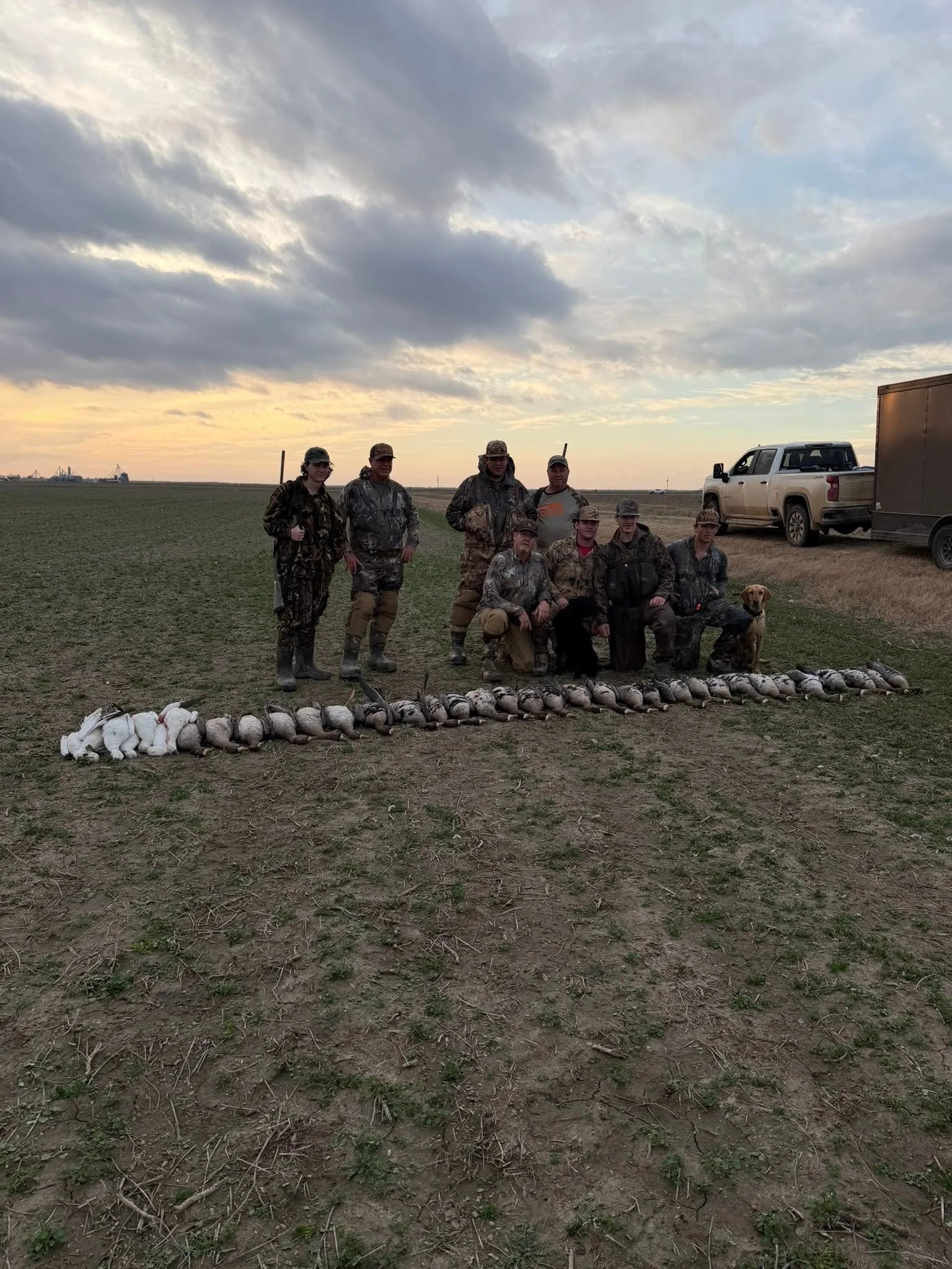 A group of nine people standing on a field at sunset, with a row of geese lined up on the ground in front of them, and trucks in the background.