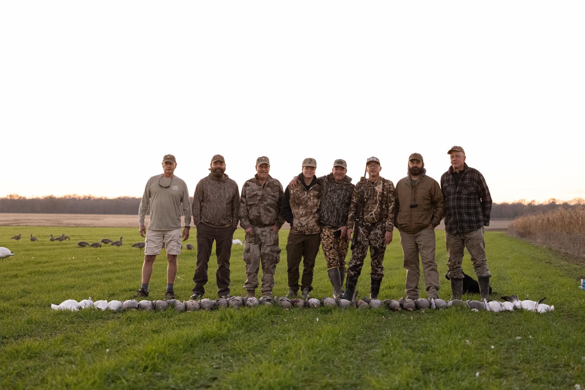 A group of eight men standing outdoors on a grassy field during sunset, dressed in outdoor and hunting clothing, with a row of geeese in front of them and a flock in the background.