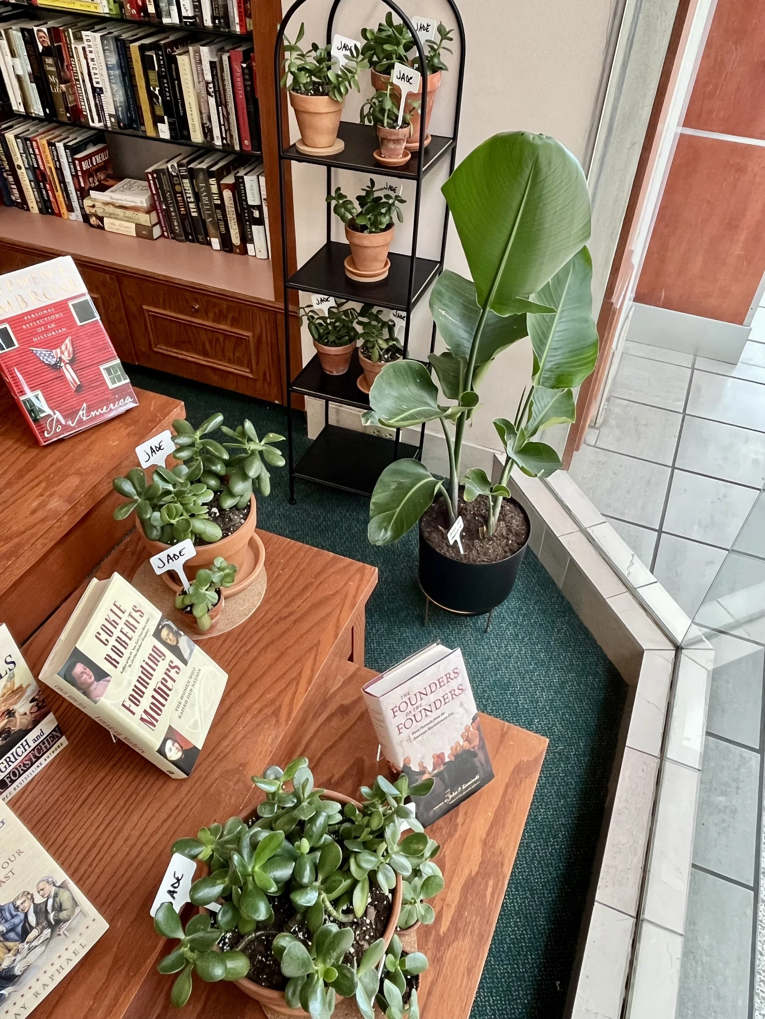 A wooden table displaying books and potted plants, including jade plants, in a bookstore or library with a bookshelf filled with books in the background, and large leafy plants next to a glass door.