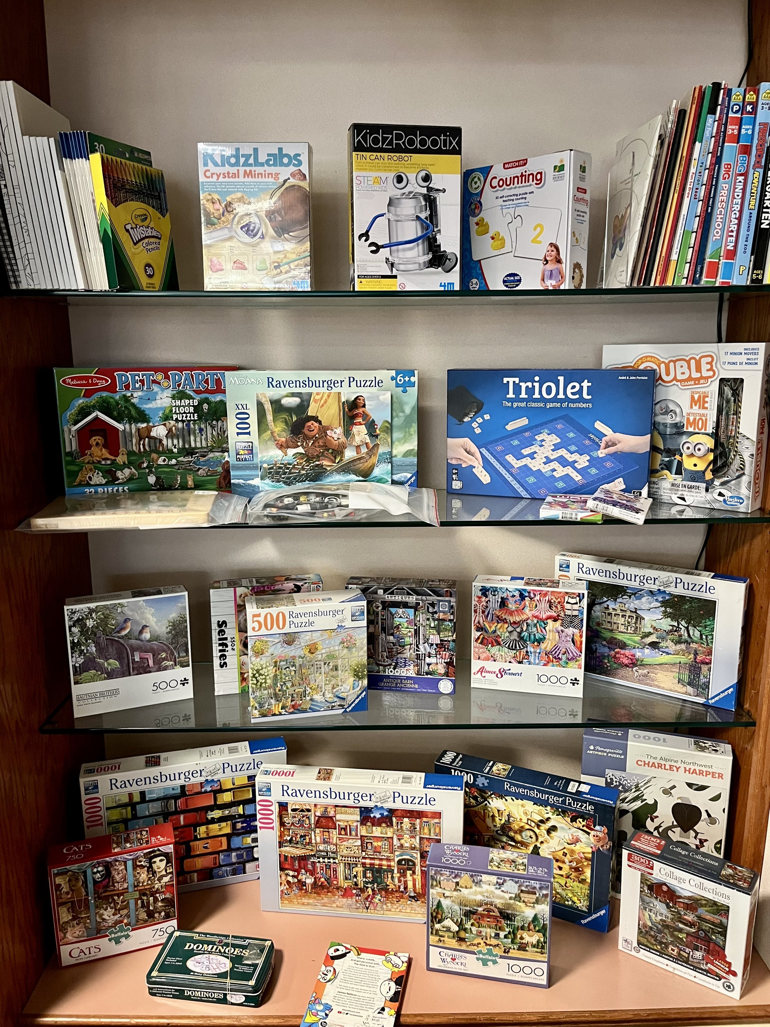 Bookshelf with puzzles, books, and a box of dominoes. The puzzles include Ravensburger, and the books include art and landscape scenes, and a 'Cats' puzzle.