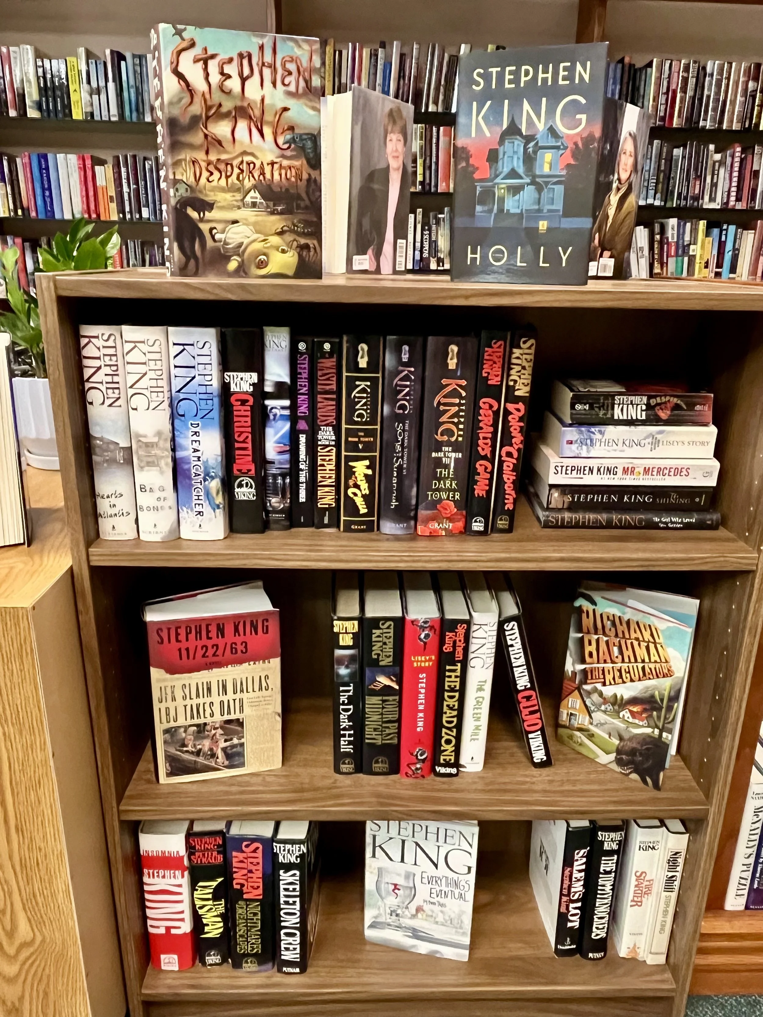 A wooden bookshelf filled with Stephen King novels, including 'It,' 'Mr. Mercedes,' 'The Dark Half,' and 'The Green Mile.' On top, there are three graphic novels or art books, one titled 'Stephen King Desperation,' the second with an image of a woman, and the third with a dark house illustration. There are also some potted plants on the shelf.