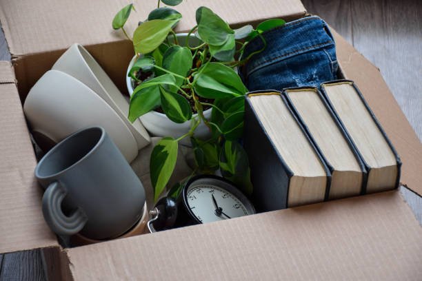 A cardboard box containing a potted plant, three books, a gray coffee mug, a white ceramic vase, a black alarm clock, and a pair of jeans.