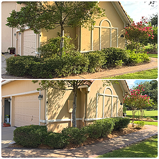 Side view of a beige house with a white garage door, surrounded by green bushes and trees, with an adjacent sidewalk and lawn.