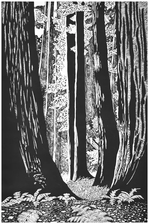 Jessica Fallis, "The Hidden Grove"