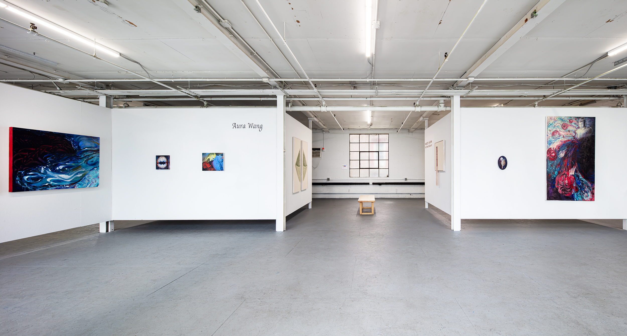 Aura Wang - Closing Reception 