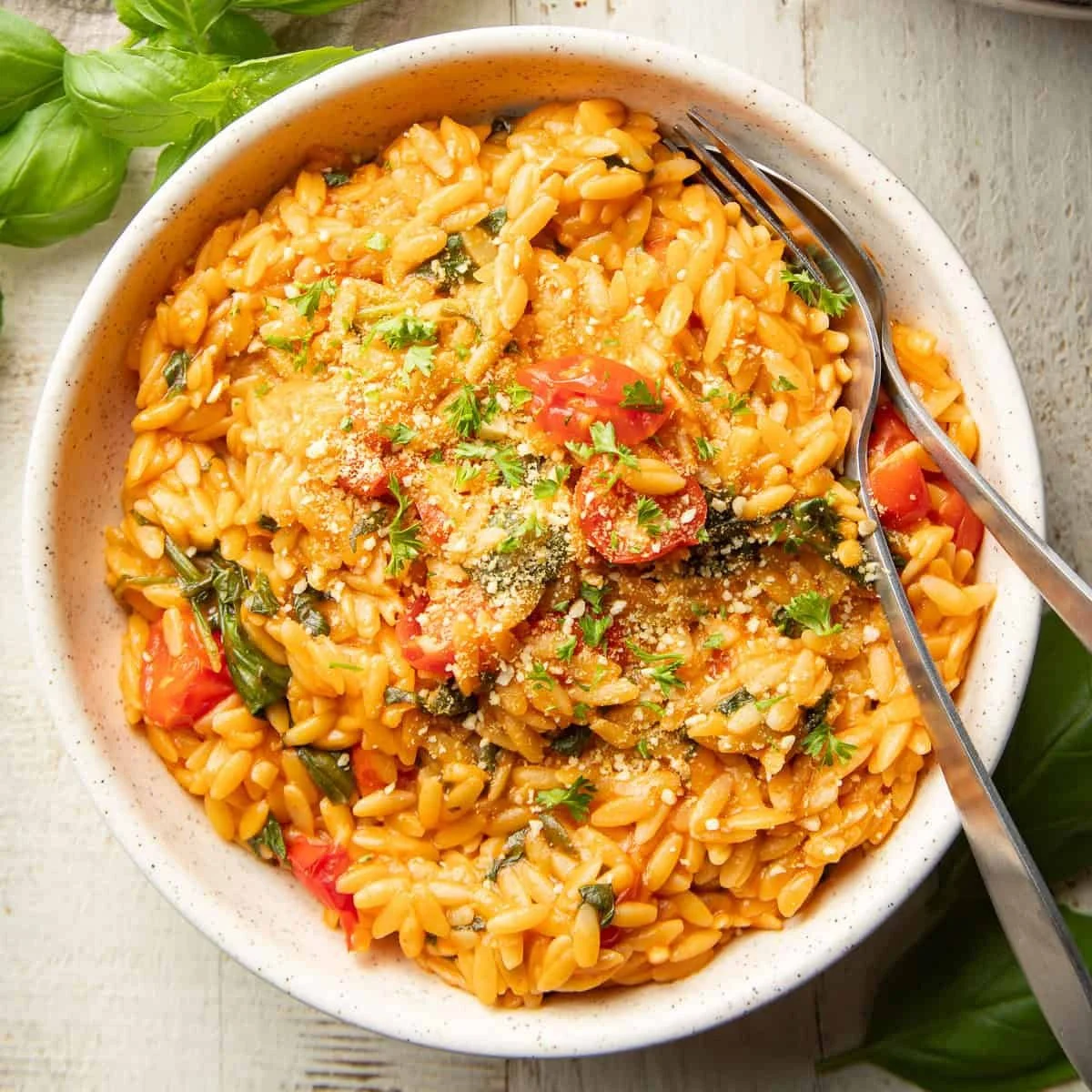 vegan-orzo-sq-1.jpg