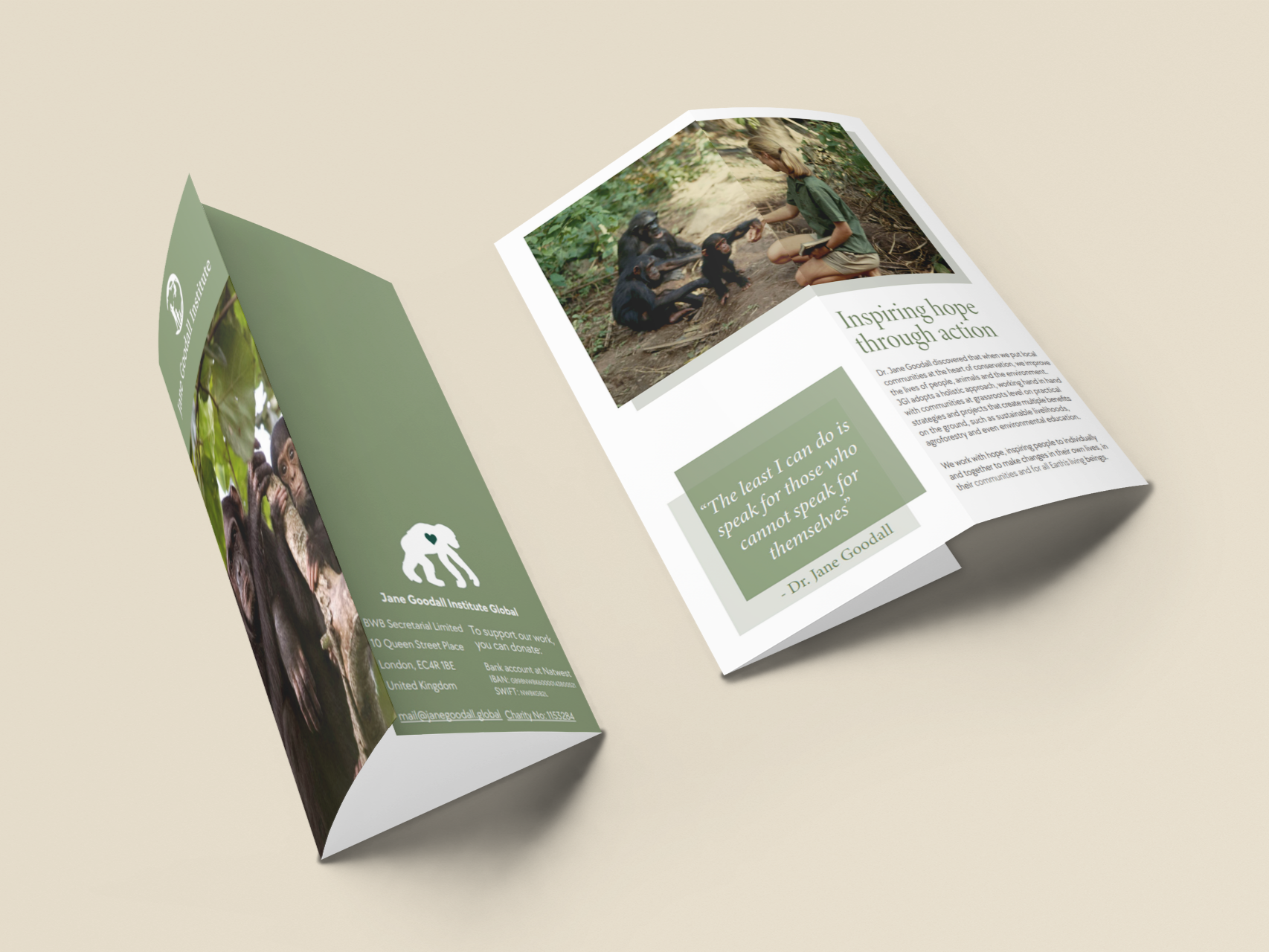 Jane Goodall Institute Brochure