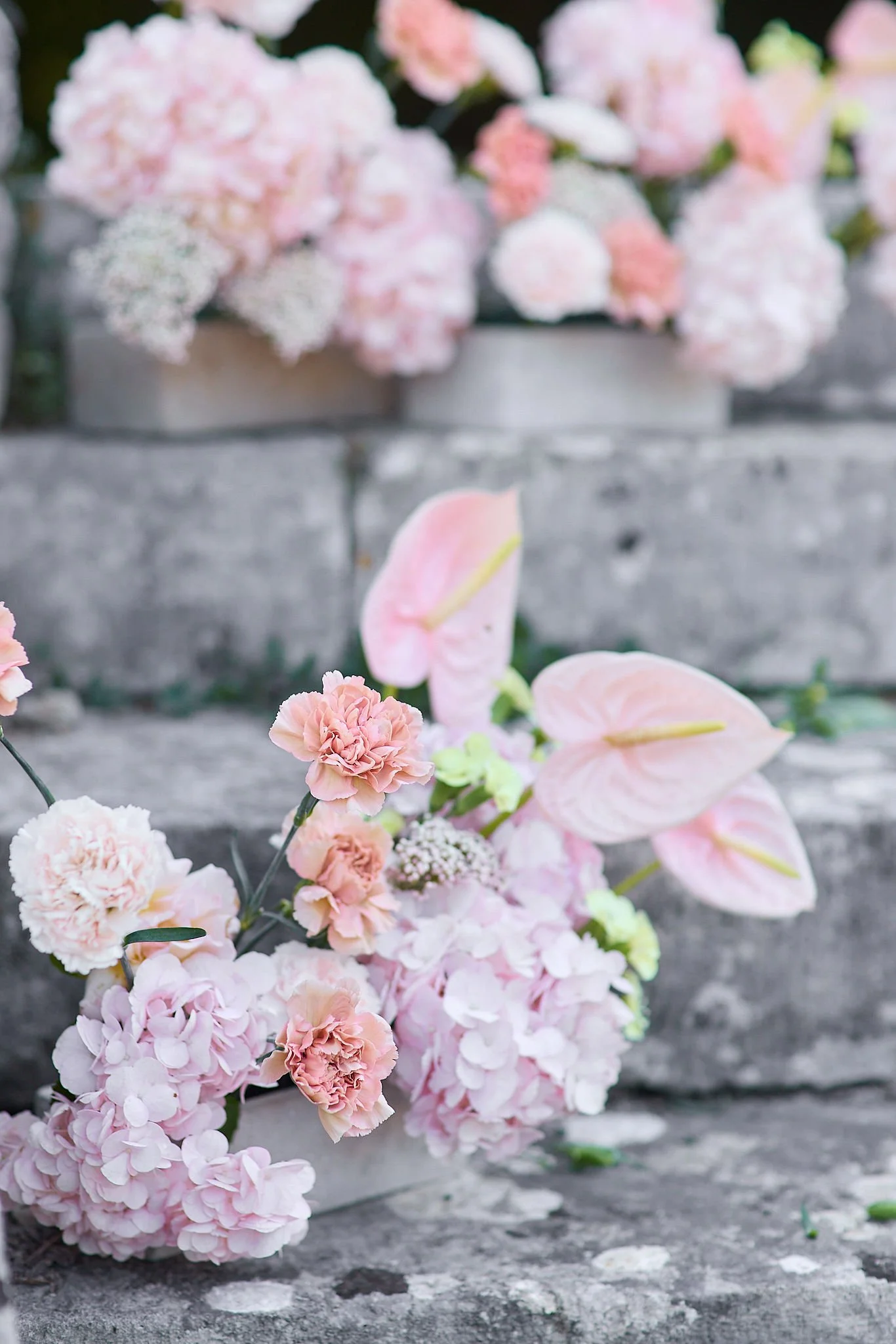 BridalShootJuly25S018.jpg