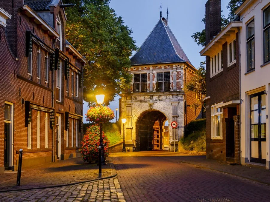 Nacht van het zilver