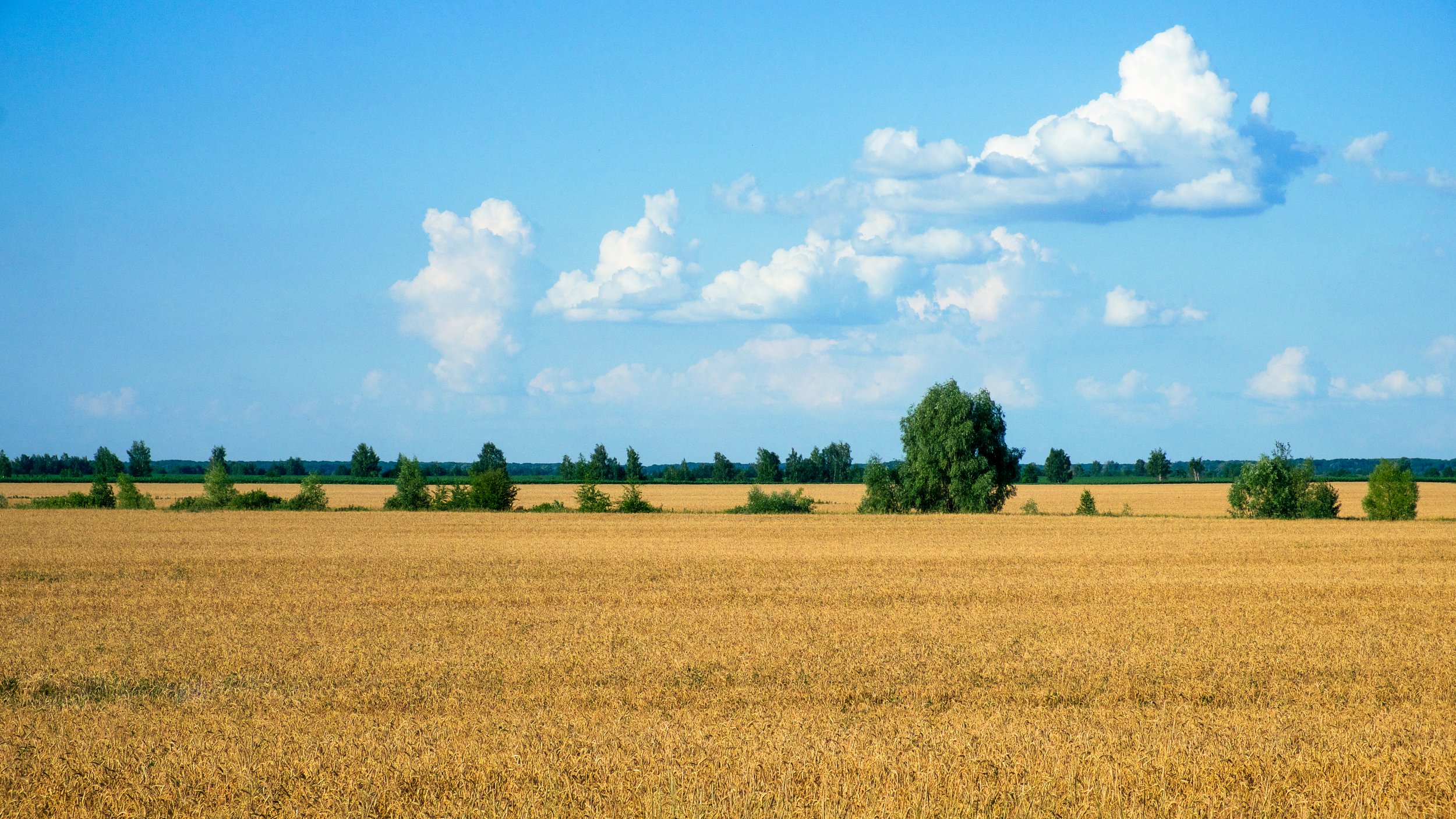 LAND CLIMATE WORKSHOP