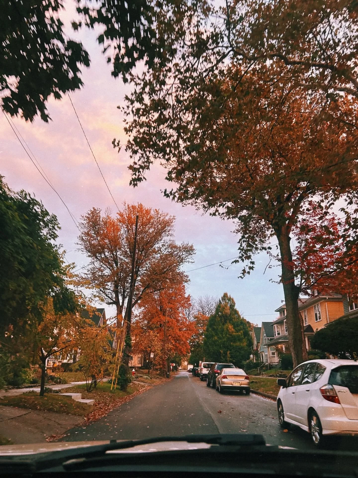 home1.jpg