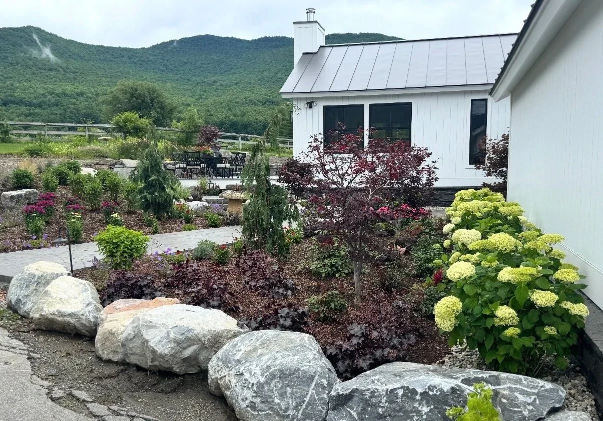 A landscaped backyard with a white house, various plants and flowers, large rocks bordering a garden bed, and mountains in the background.