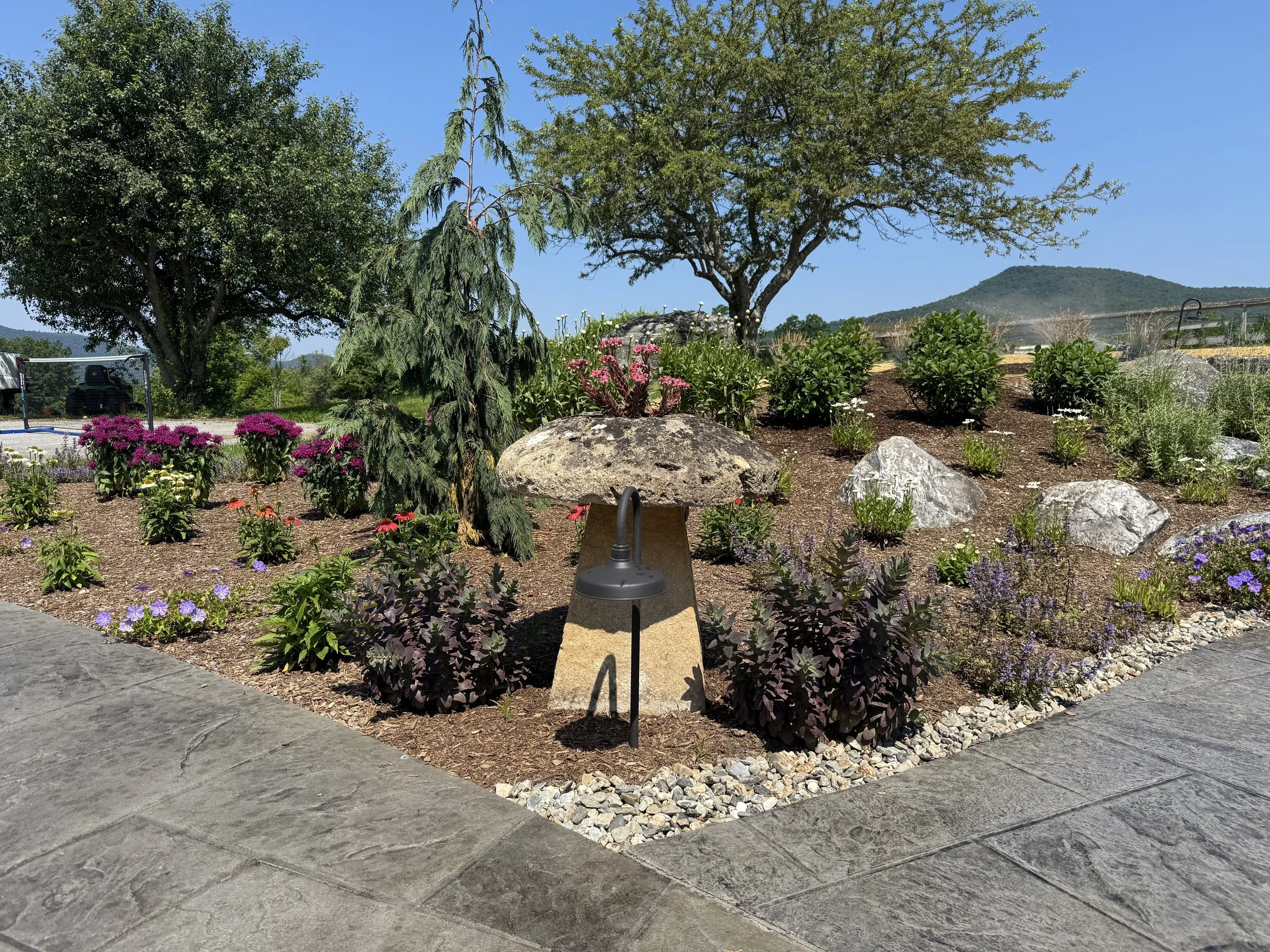 A landscaped garden with flowering plants, trees, rocks, and a stone walking path under a clear blue sky with mountains in the background.
