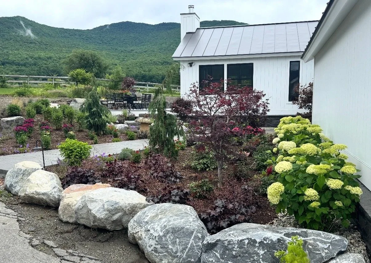 A landscaped backyard with a garden, decorative rocks, a white house with black window frames, and mountain scenery in the background.