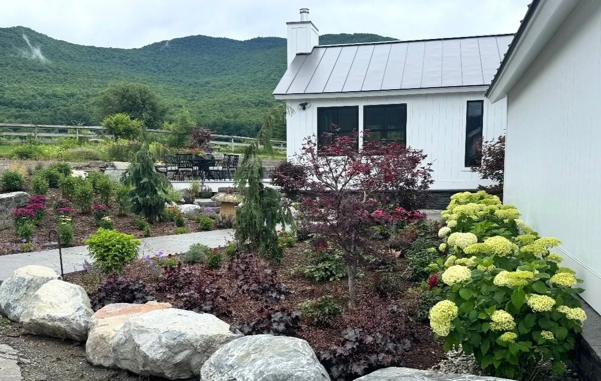 A well-maintained backyard garden next to a white house with a metal roof, surrounded by lush greenery and mountains in the background.