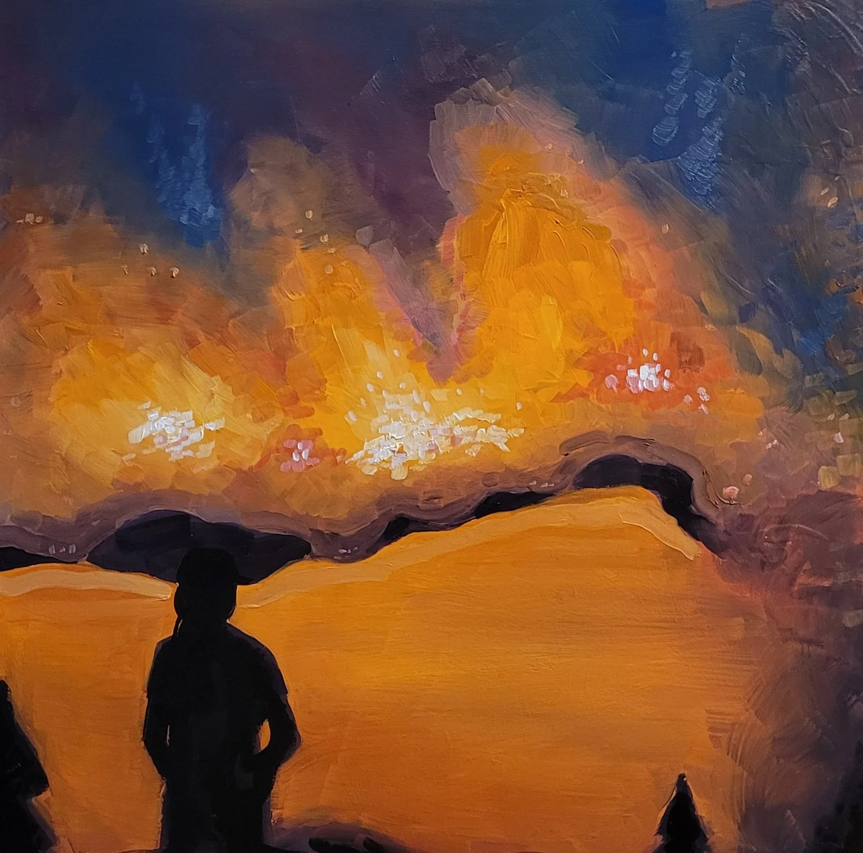 Oil Painting Series: Wildfire Season