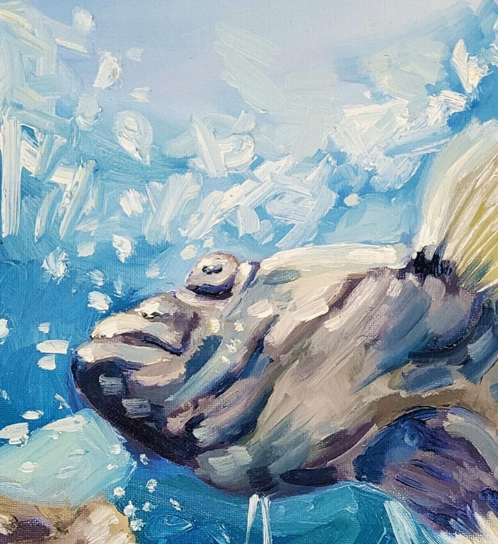 vancouver aqauarium study, oil paint