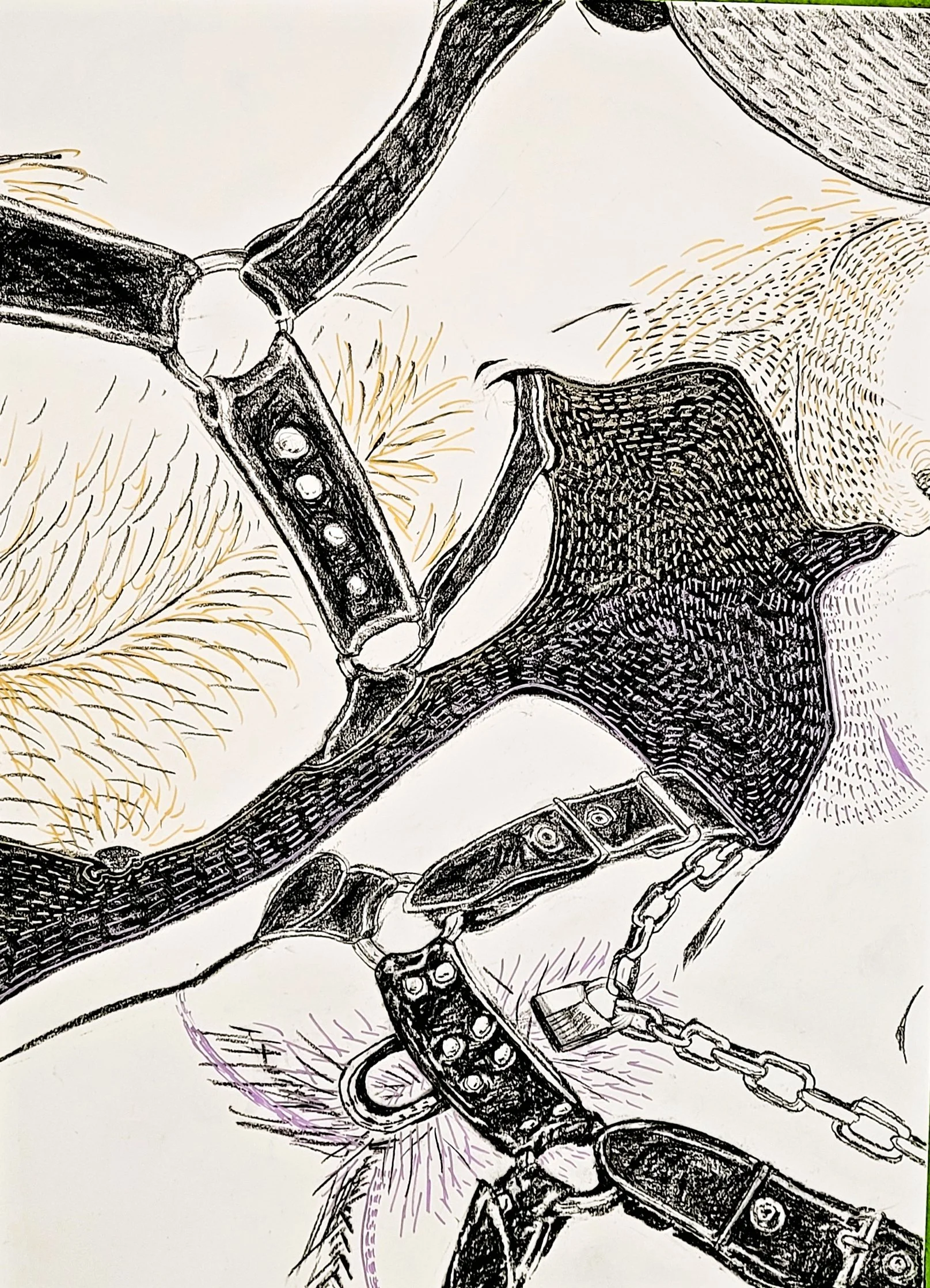 bdsm series 1, charcol and acrylic pen