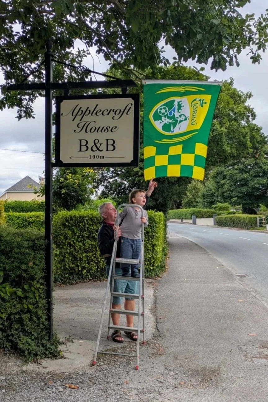 A man and a young boy standing on a ladder next to a tree, hanging a green flag with yellow and green checkered pattern above a sidewalk, near a sign for Applecroft House B&B, with trees and houses in the background.